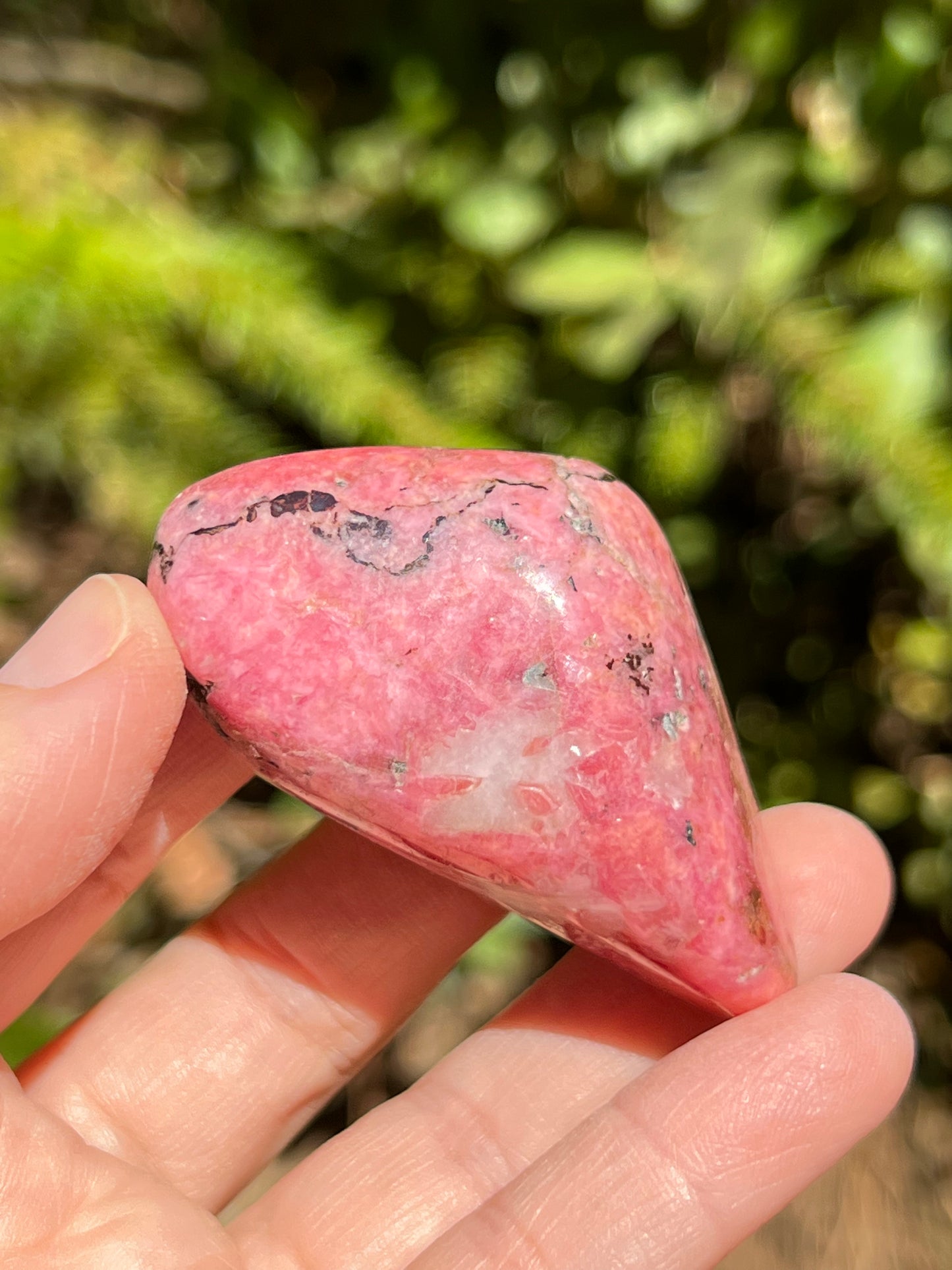 Bustamite Freeform, Wessels Mine, South Africa