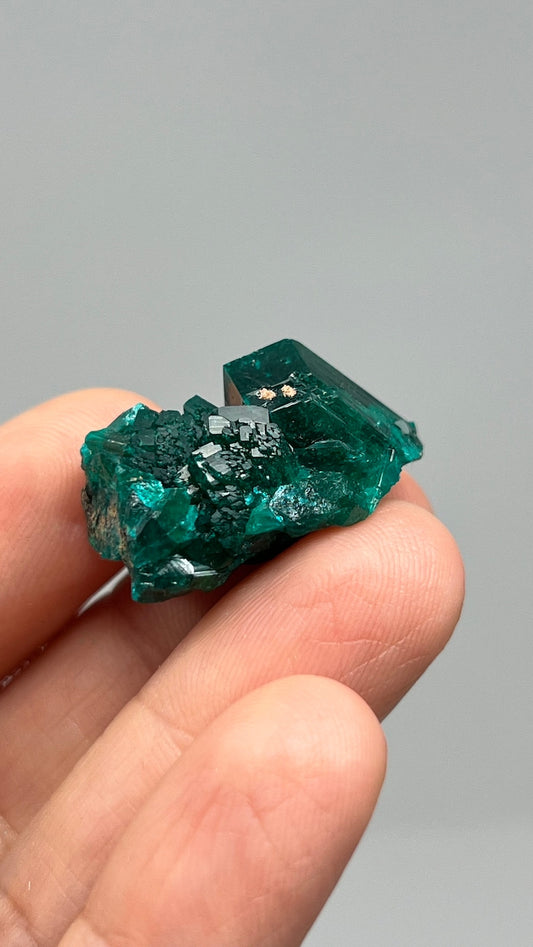 Prismatic Dioptase, Emerald Green Crystal, Pool Dept. Congo