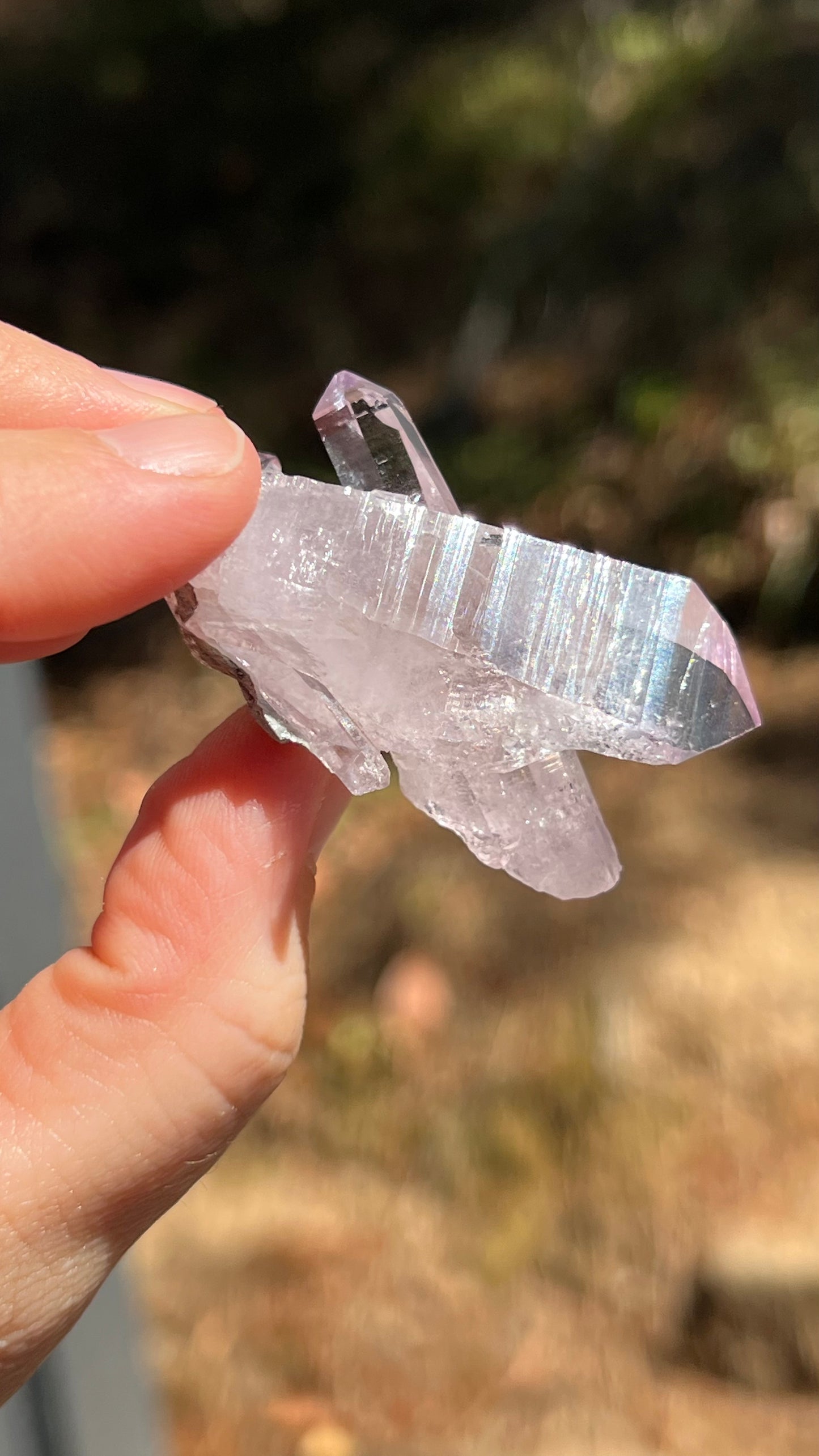 Amethyst Crystal, Veracruz Mexico