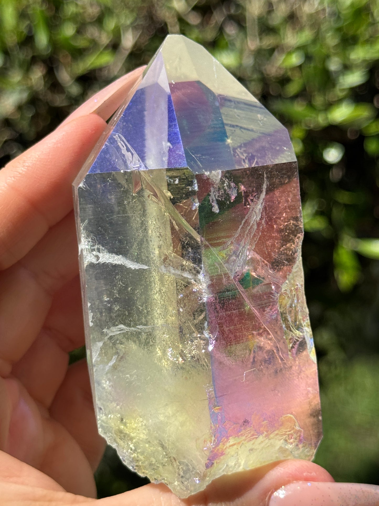 Angel Aura McEarl Lemurian
