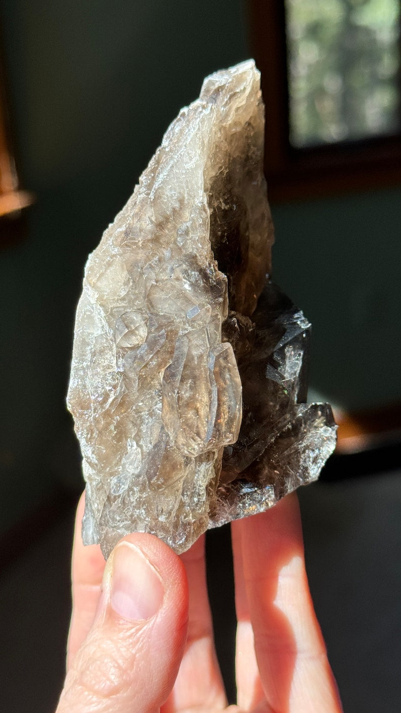 Smoky Elestial Quartz Crystal, Brazil