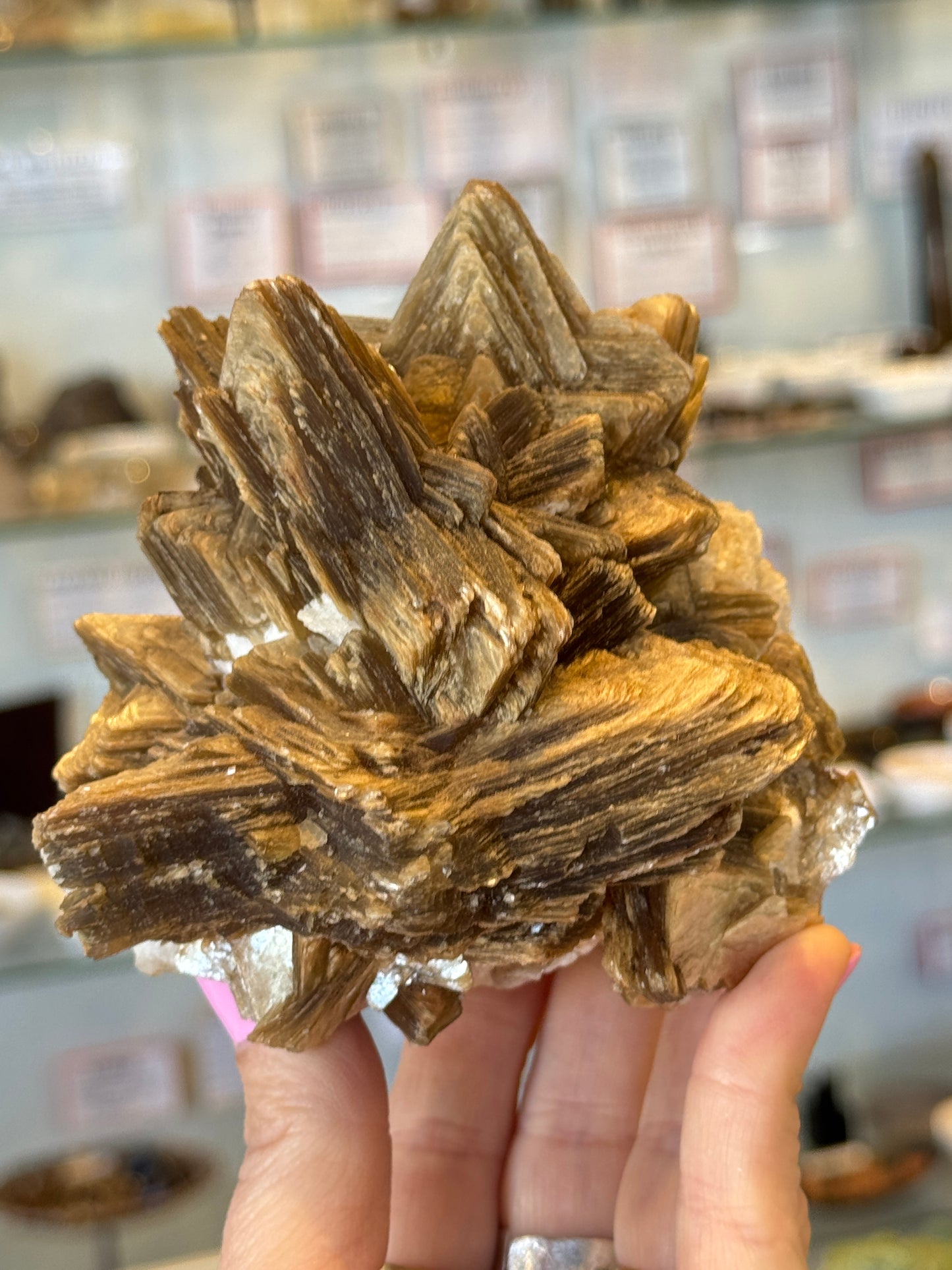 Rare Collectors Star Mica Brazil