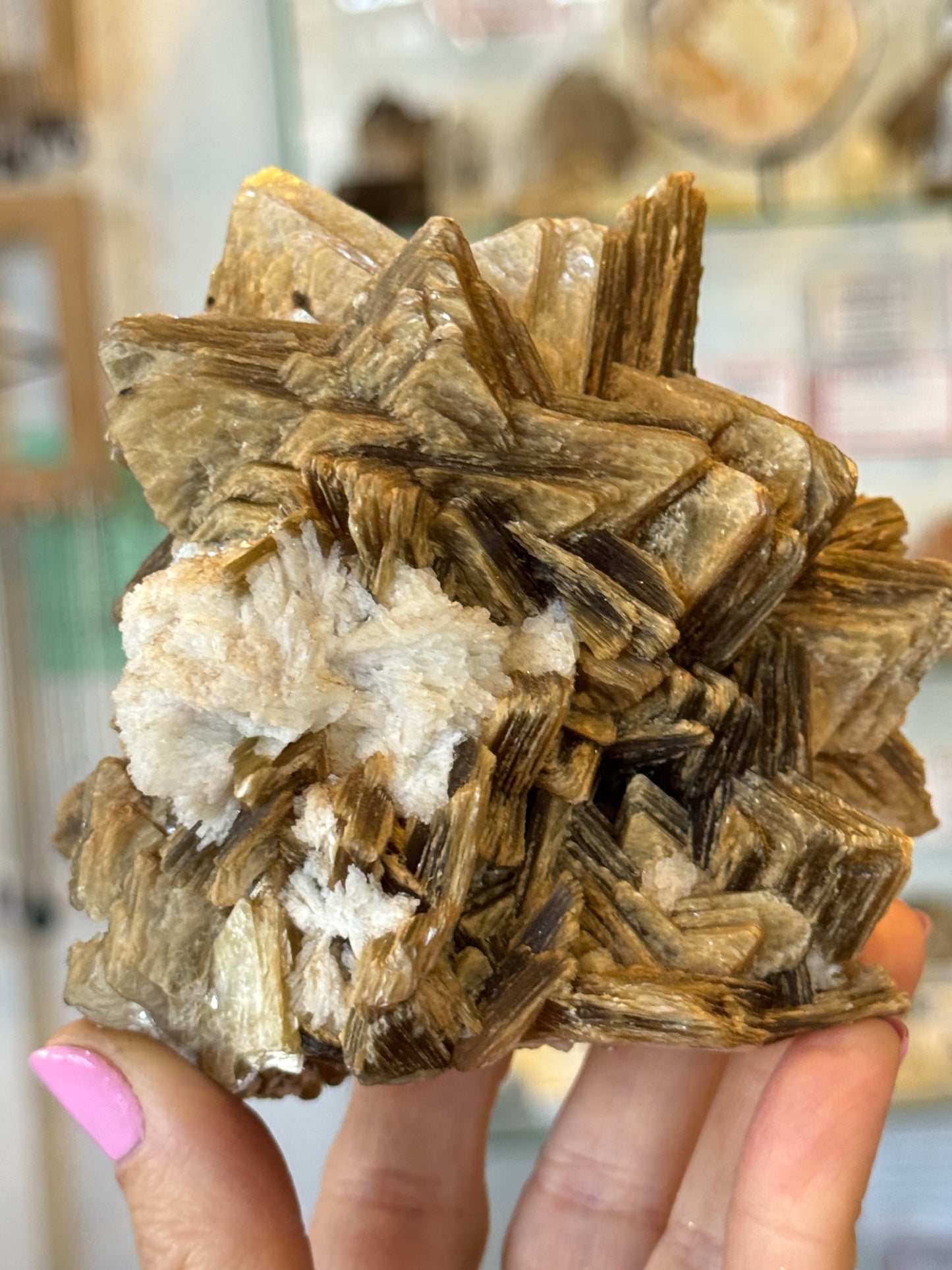 Rare Collectors Star Mica Brazil
