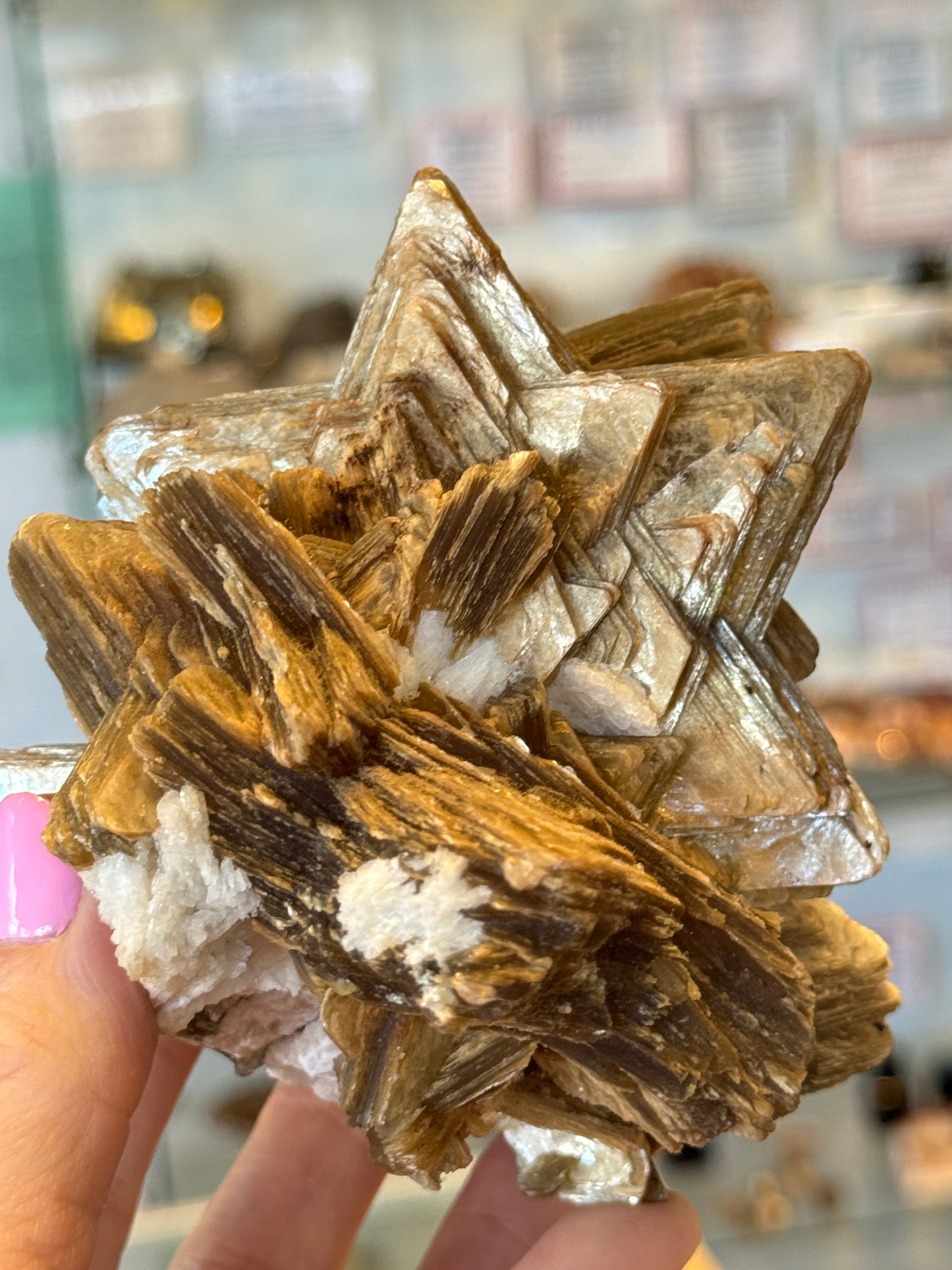 Rare Collectors Star Mica Brazil
