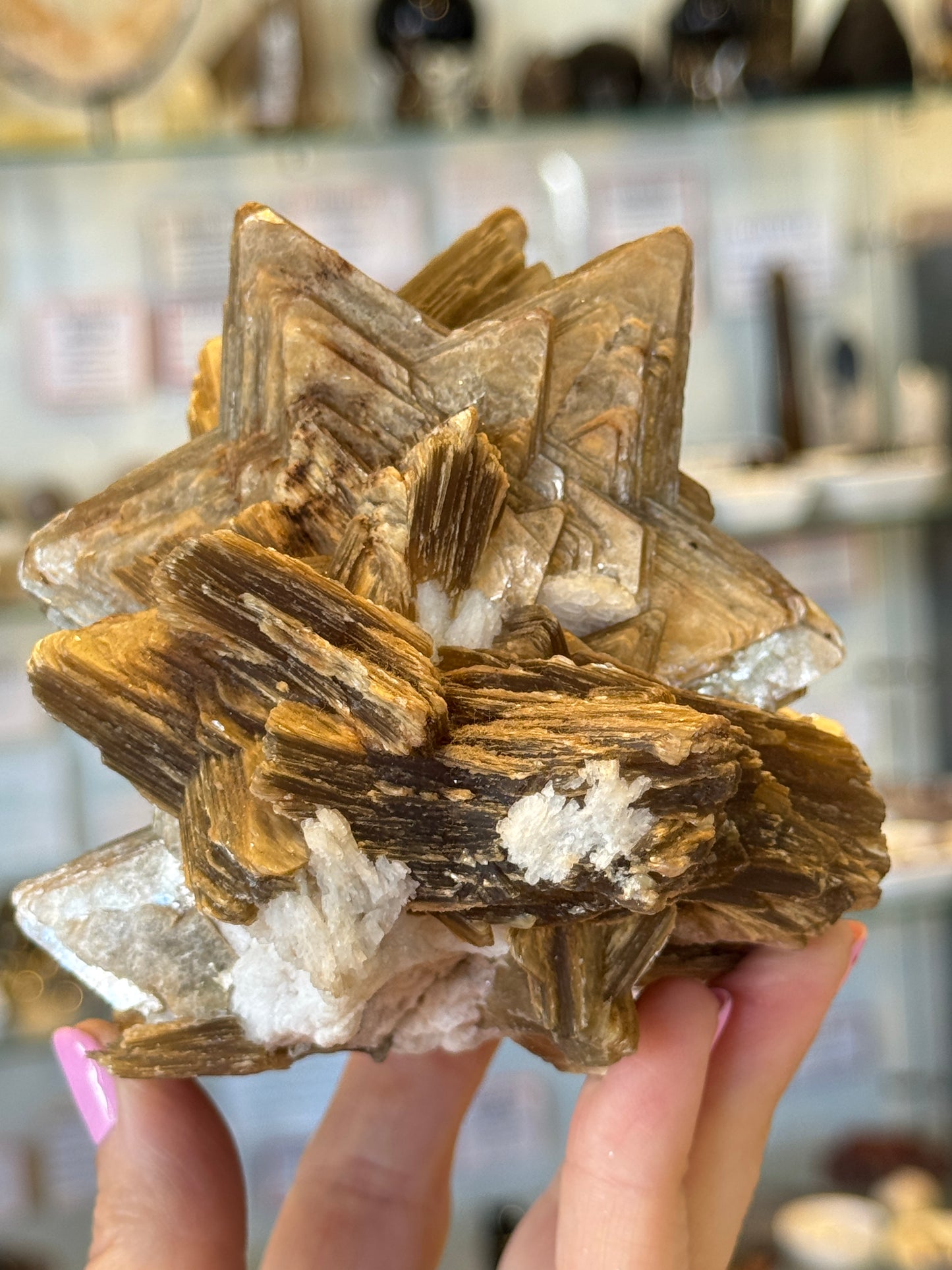 Rare Collectors Star Mica Brazil