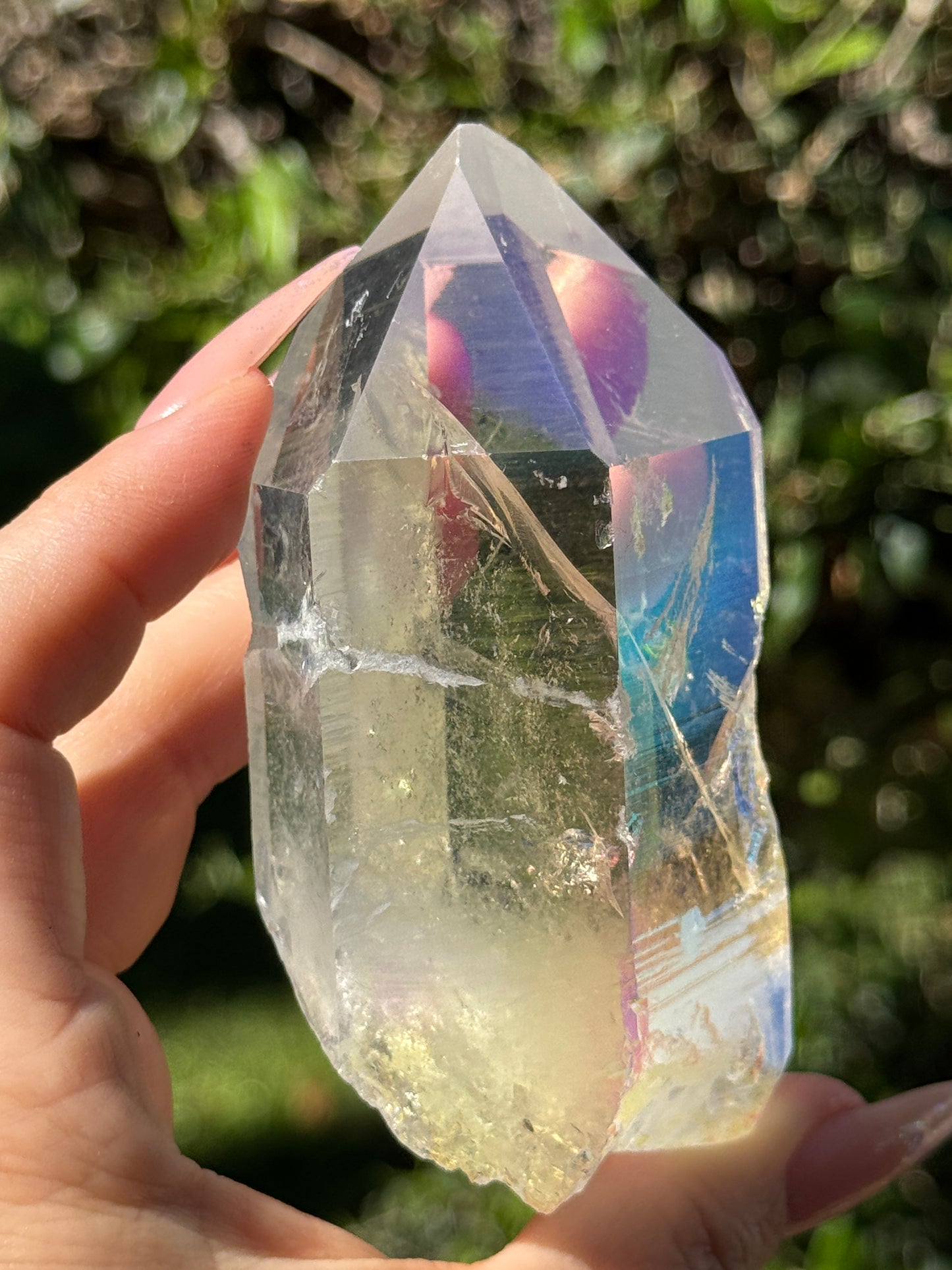 Angel Aura McEarl Lemurian
