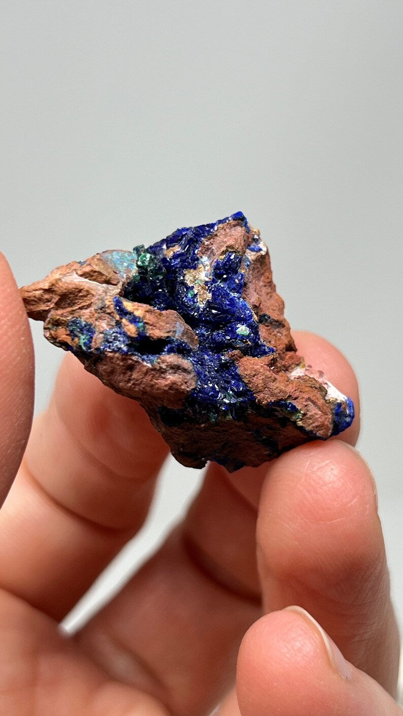 Azurite Crystals in Matrix, Morenci Mine Region, Arizona USA