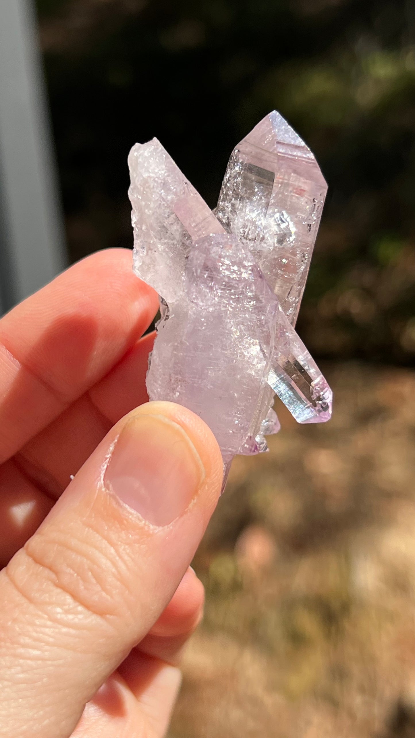 Amethyst Crystal, Veracruz Mexico