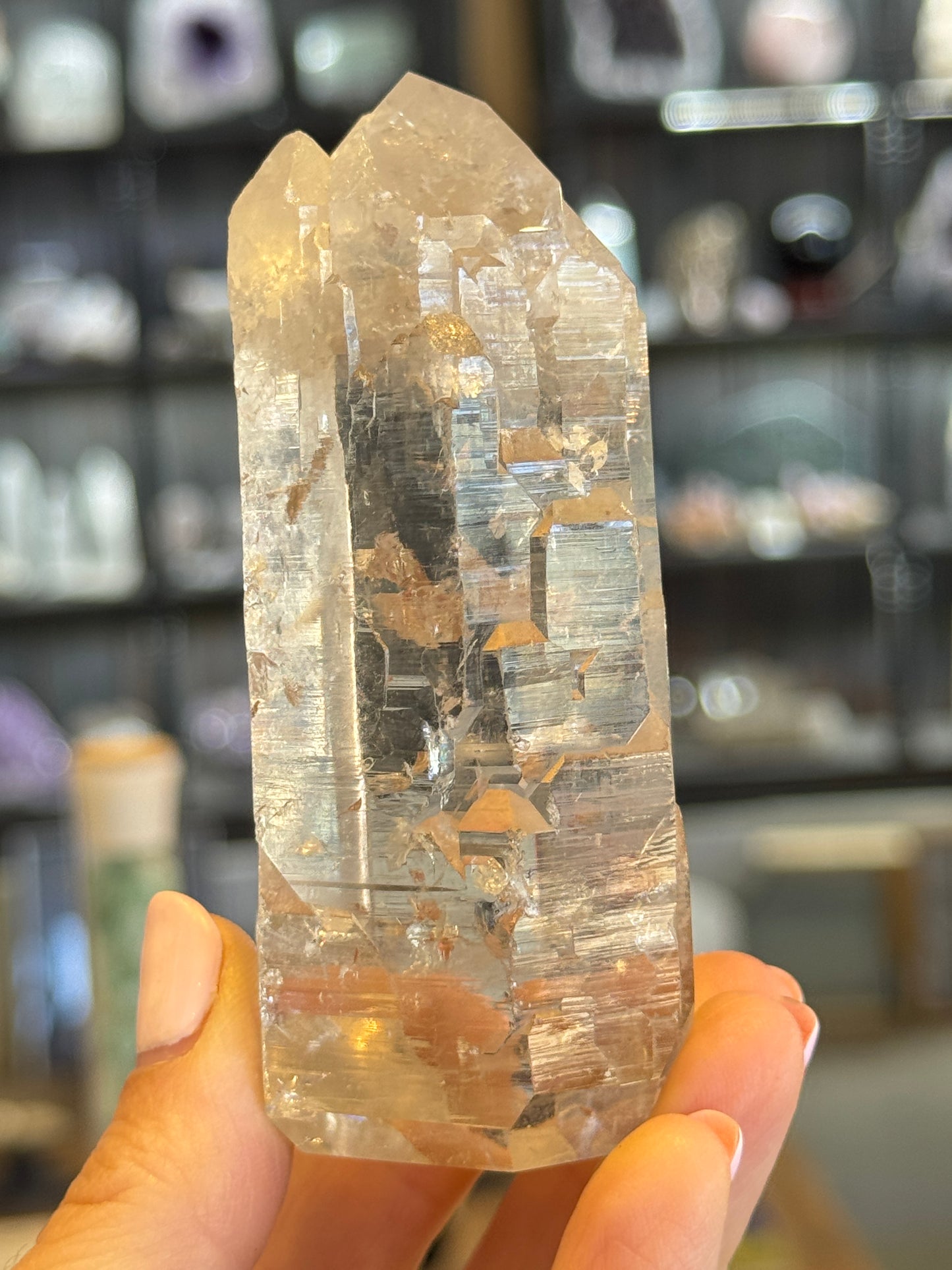 Elestial Citrine Lightbrary