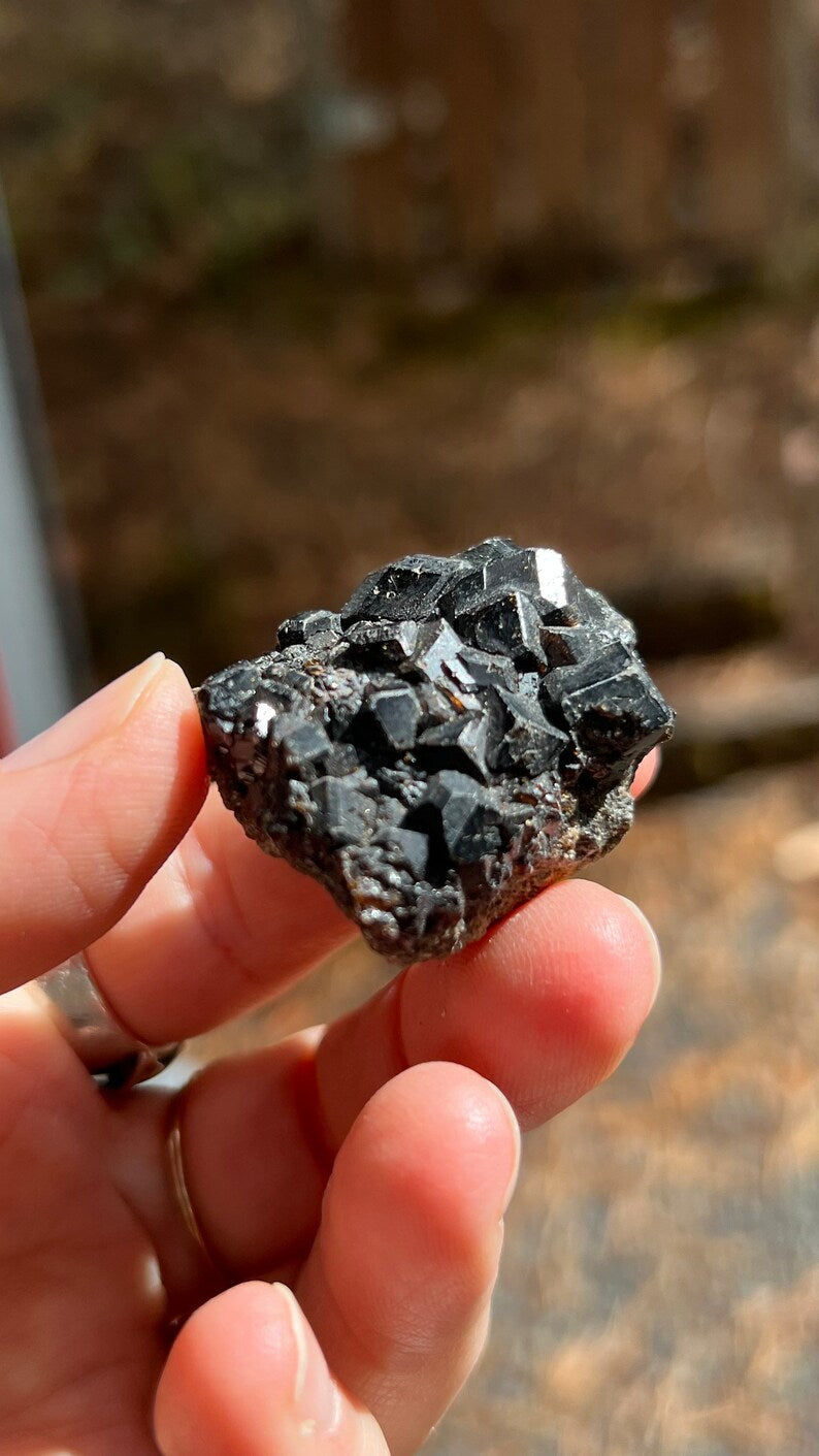 Andradite Garnet var. Melanite, Black Garnet, Mali