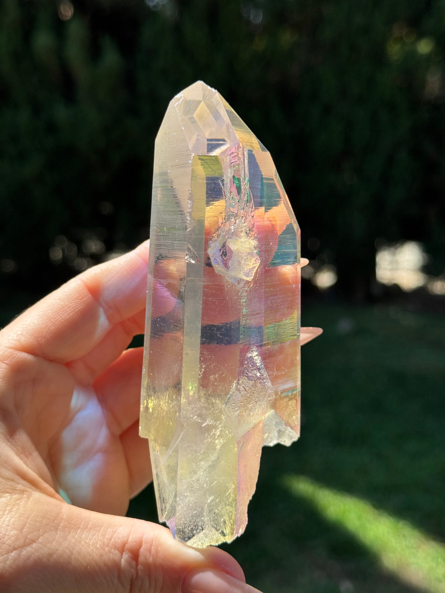 Angel Aura McEarl Lemurian
