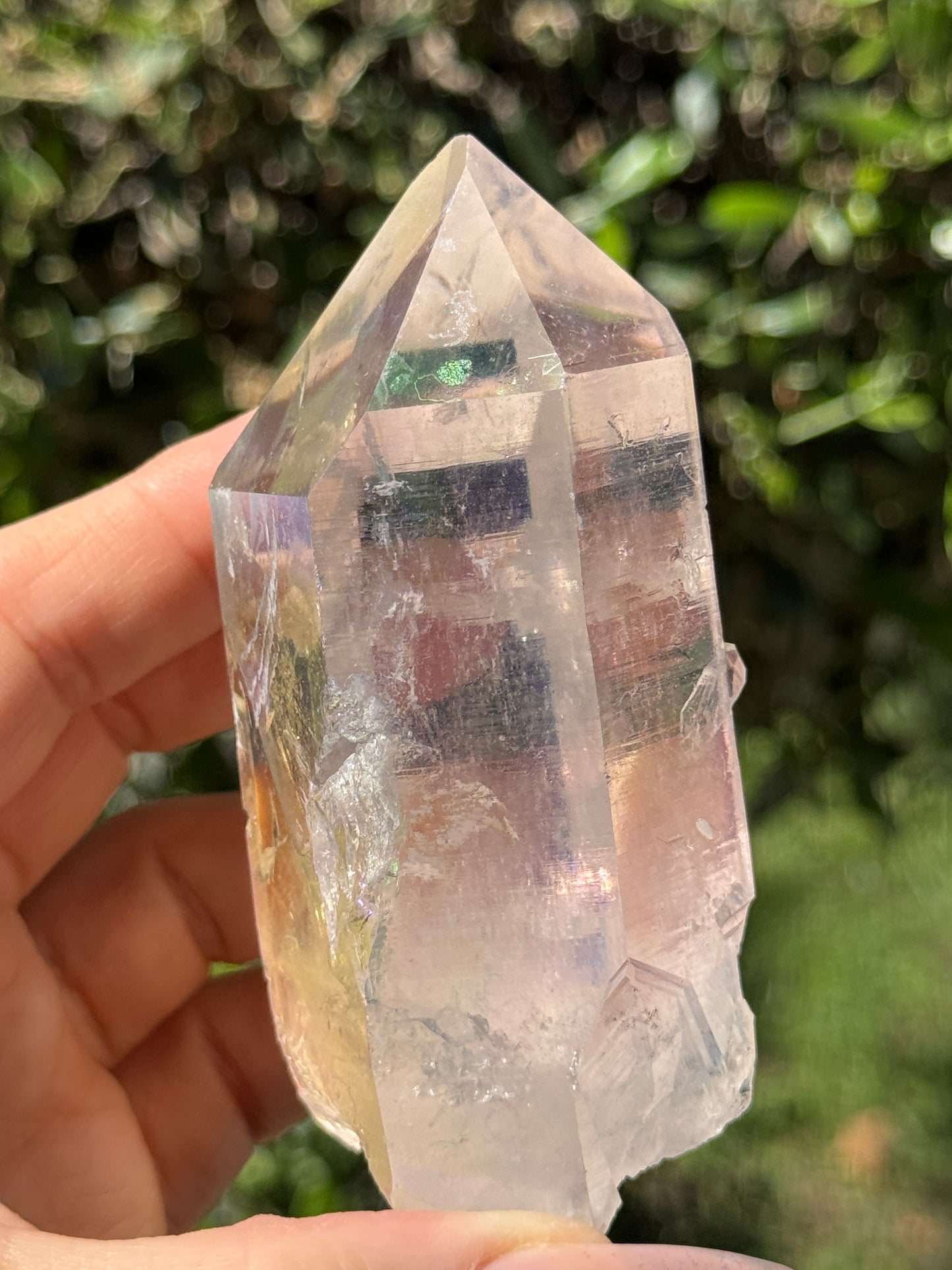 Angel Aura McEarl Lemurian