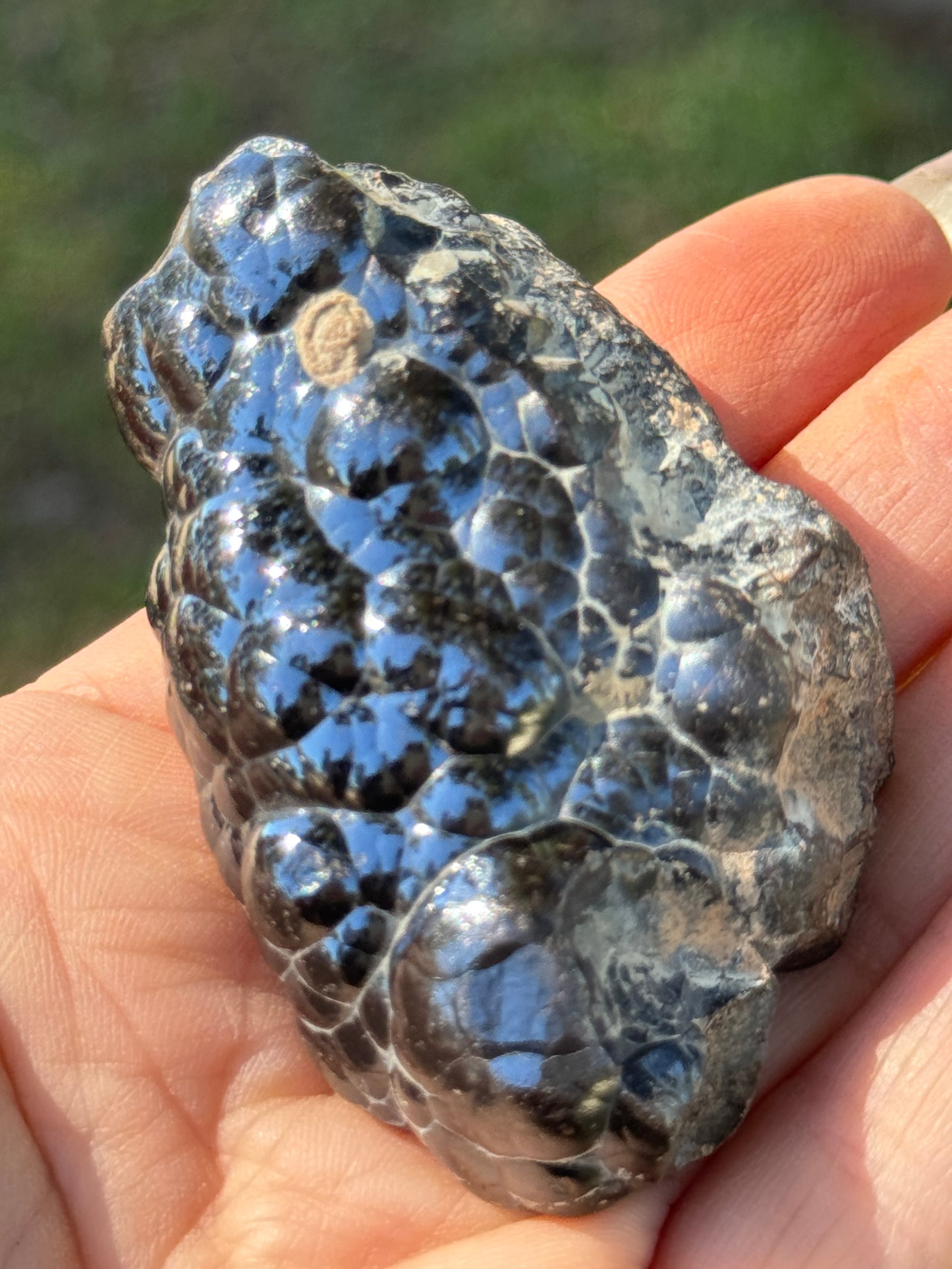 Botryoidal Hematite, 145g Morocco