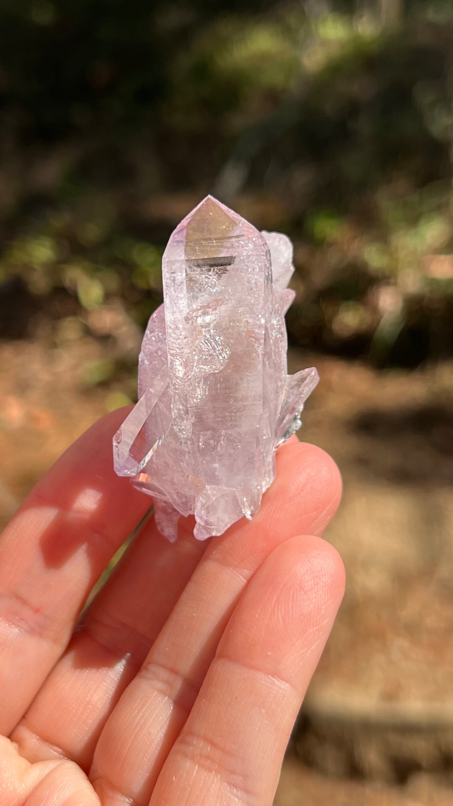 Amethyst Crystal, Veracruz Mexico