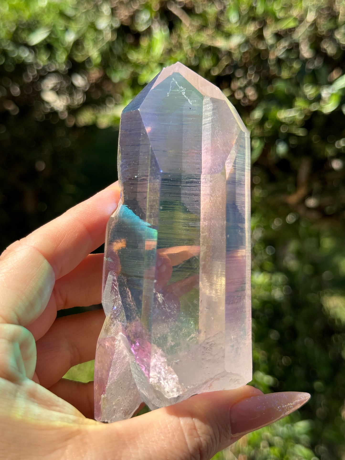 Angel Aura McEarl Lemurian