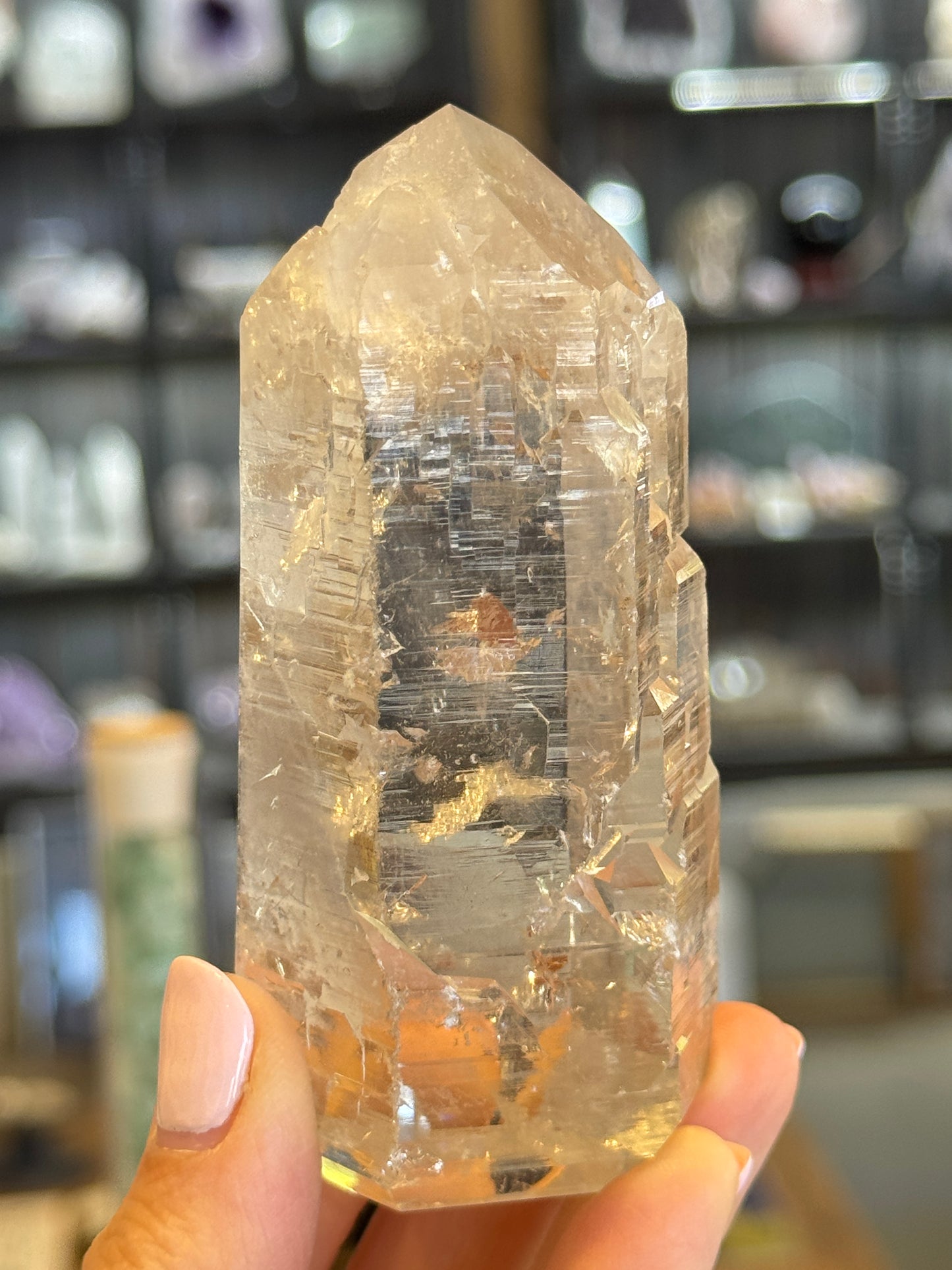 Elestial Citrine Lightbrary