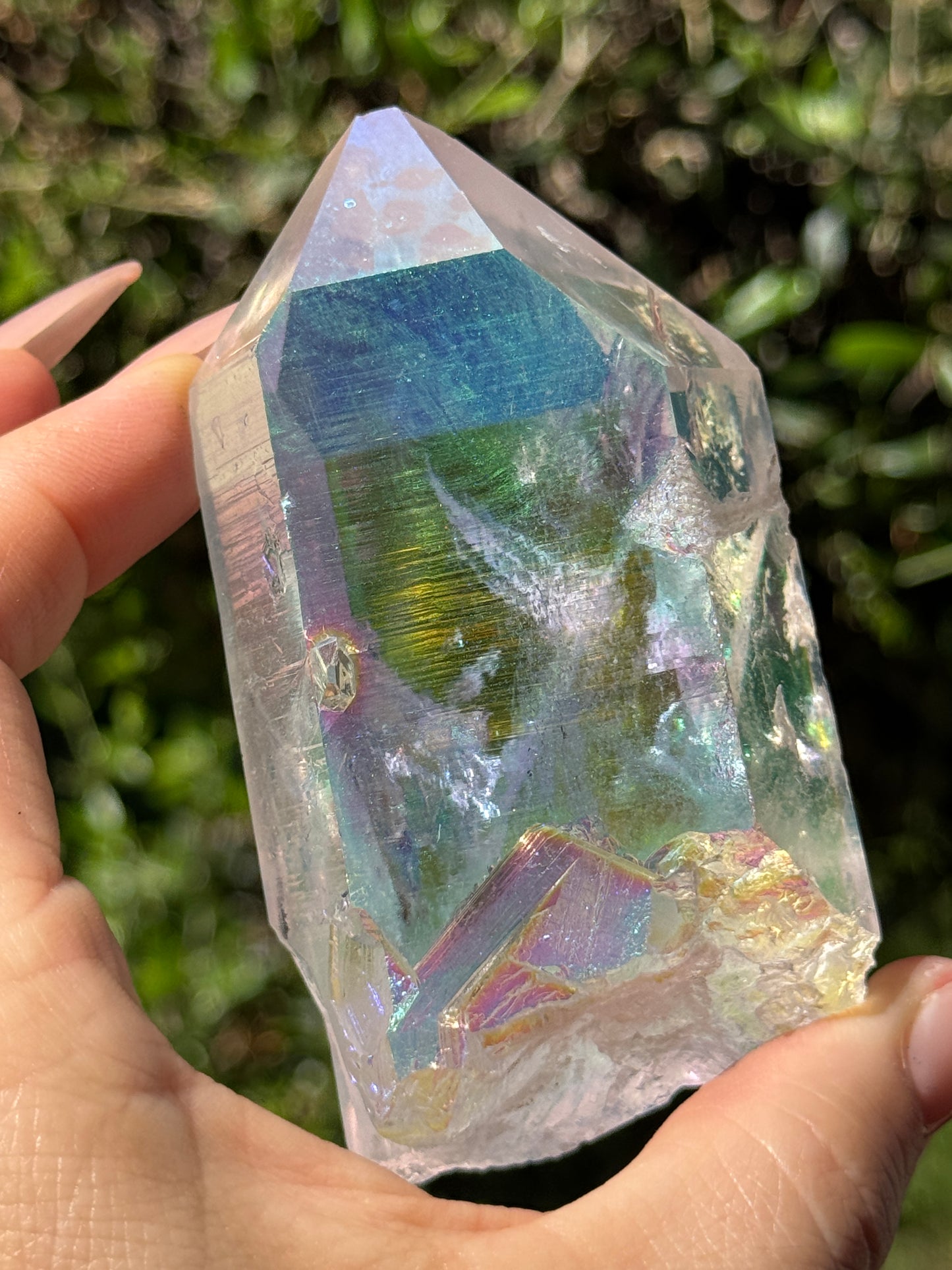 Angel Aura McEarl Lemurian