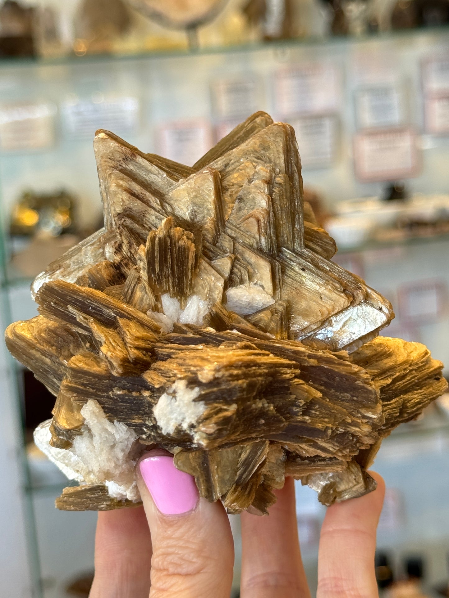 Rare Collectors Star Mica Brazil