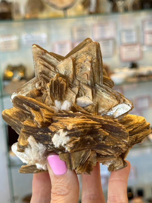 Rare Collectors Star Mica Brazil