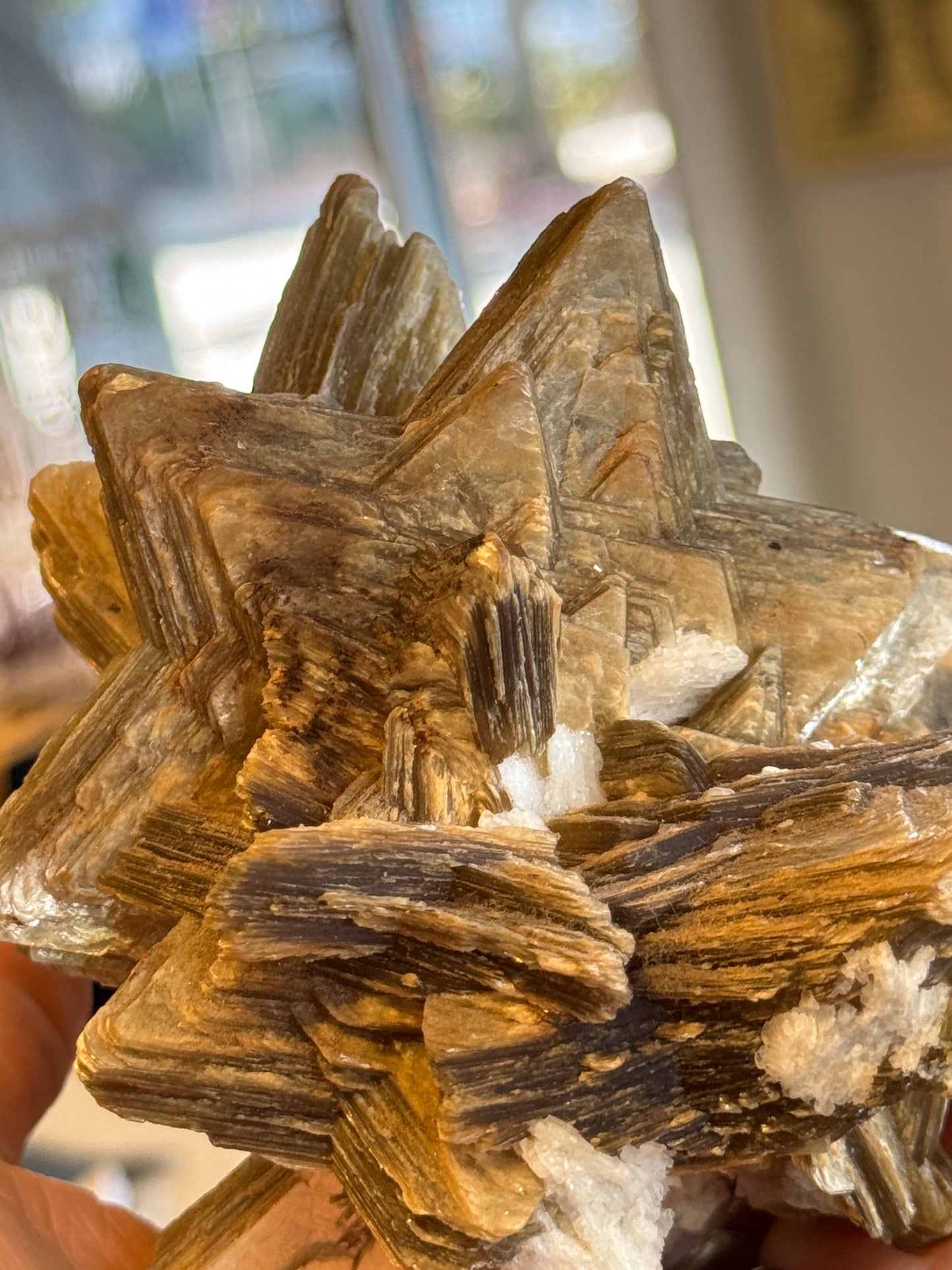 Rare Collectors Star Mica Brazil