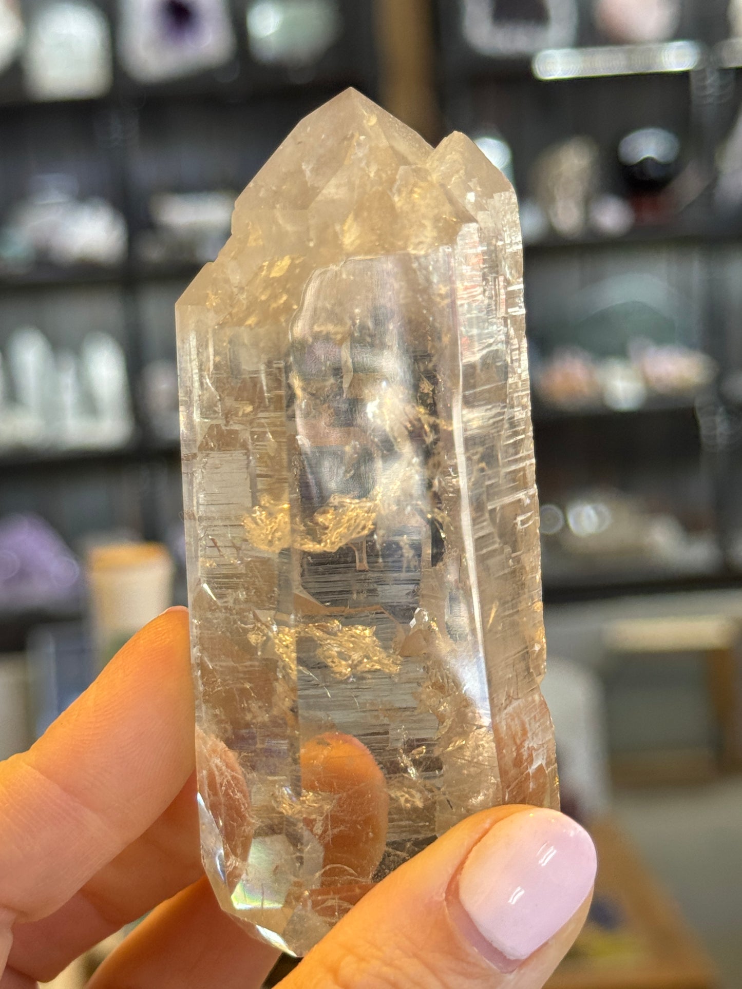 Elestial Citrine Lightbrary