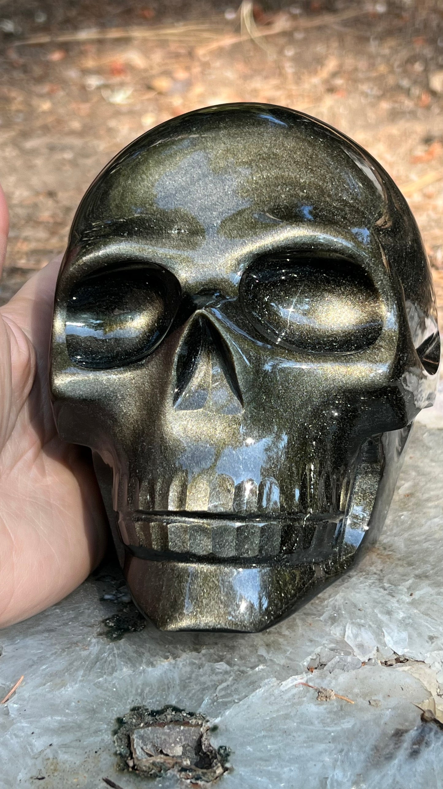 Gold Sheen Black Obsidian Skull