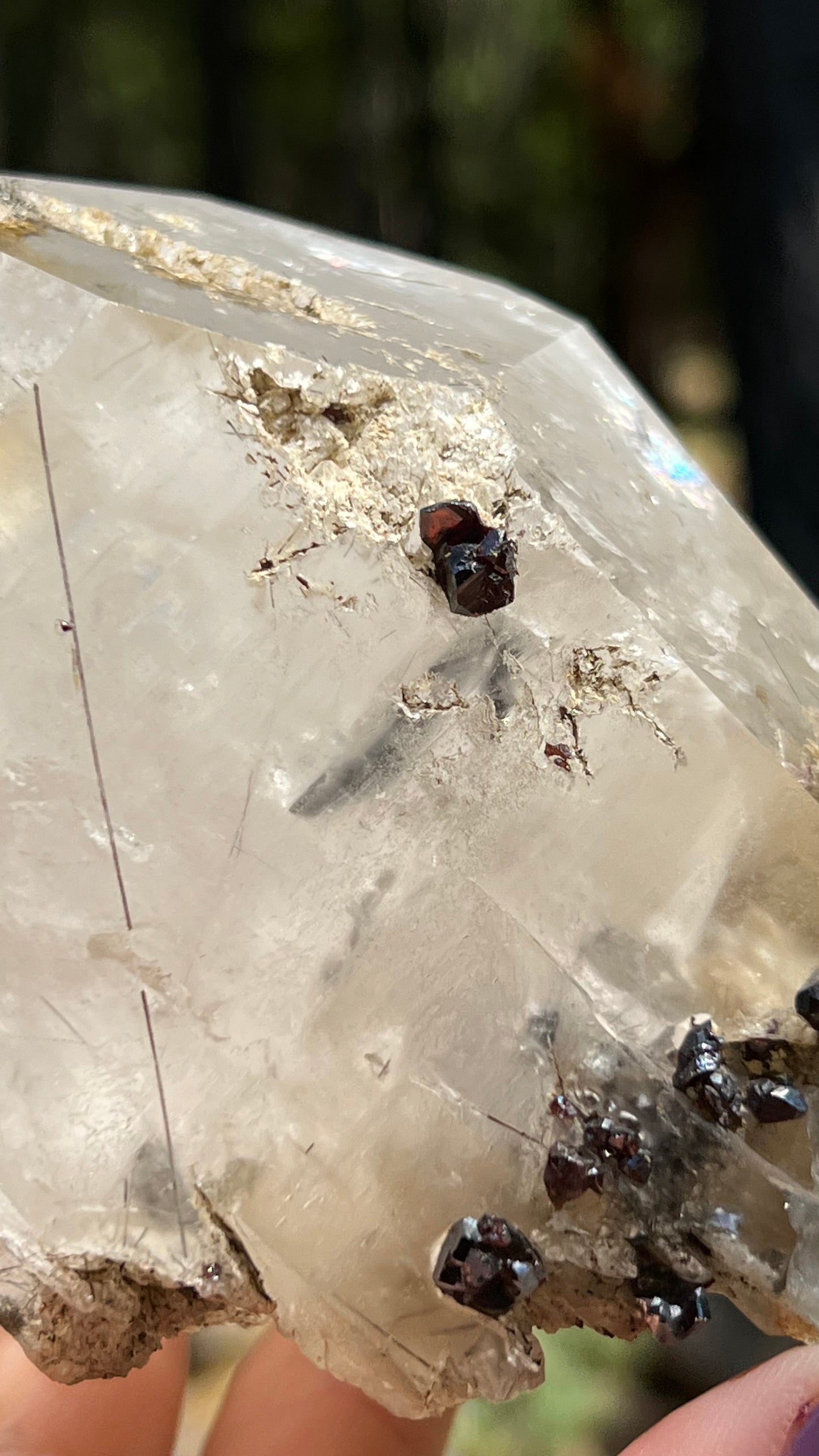 Quartz Scepter with Rutile and Garnets