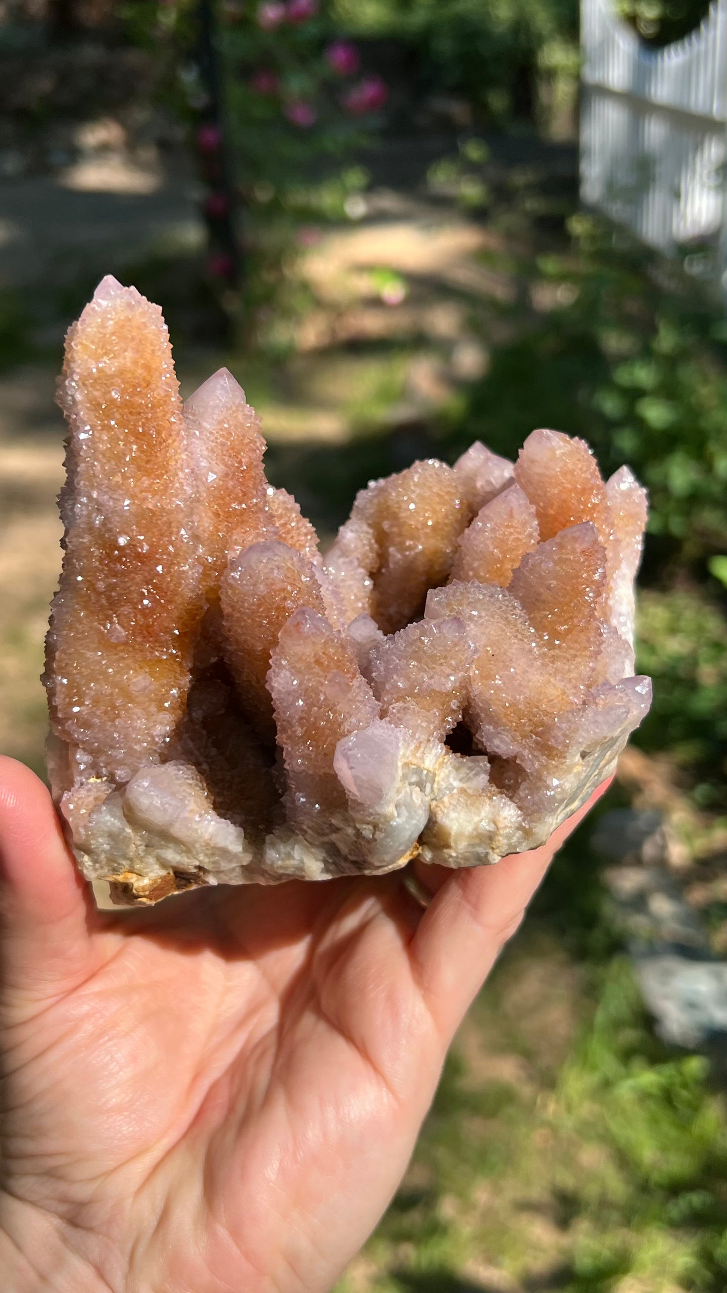 Lavender Spirit Quartz Cactus Quartz, South Africa