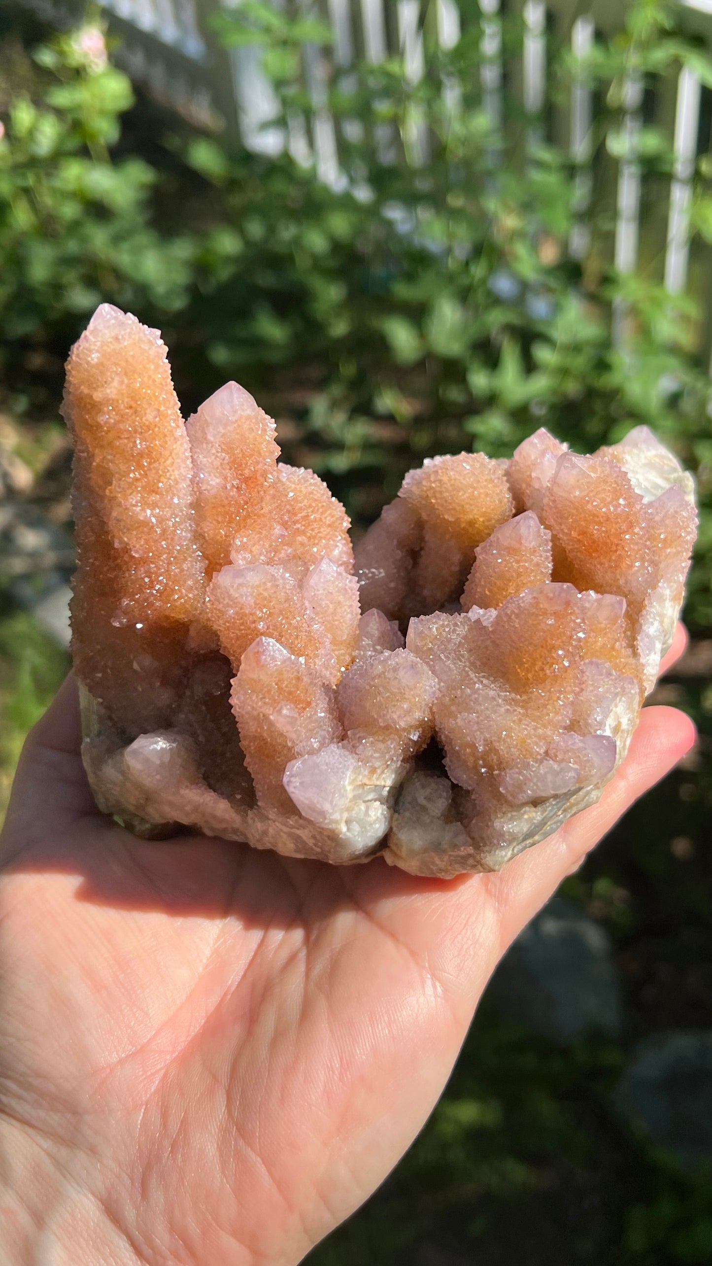 Lavender Spirit Quartz Cactus Quartz, South Africa