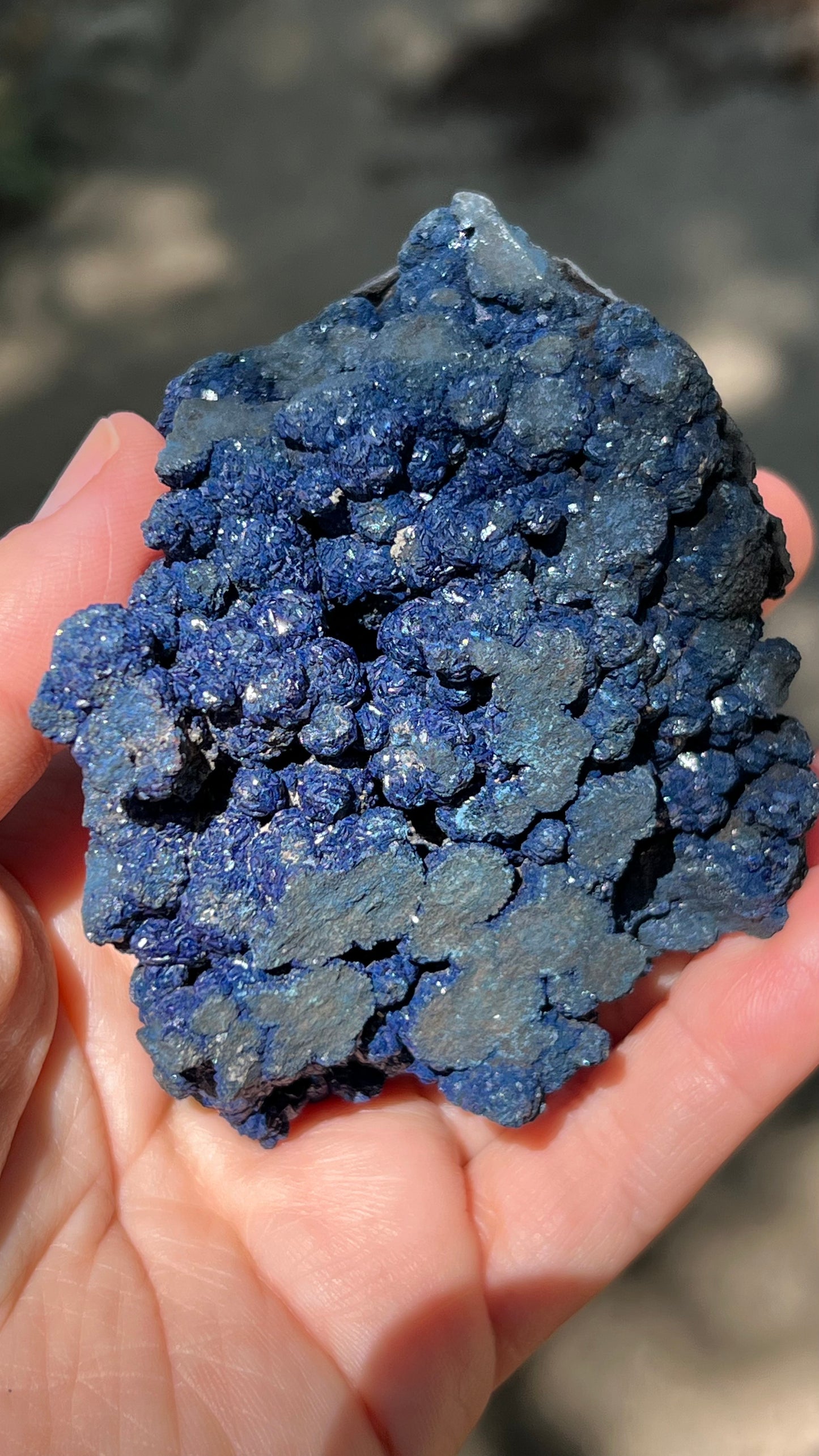 Azurite Rosette Cluster, Morenci Mine Region, Arizona USA