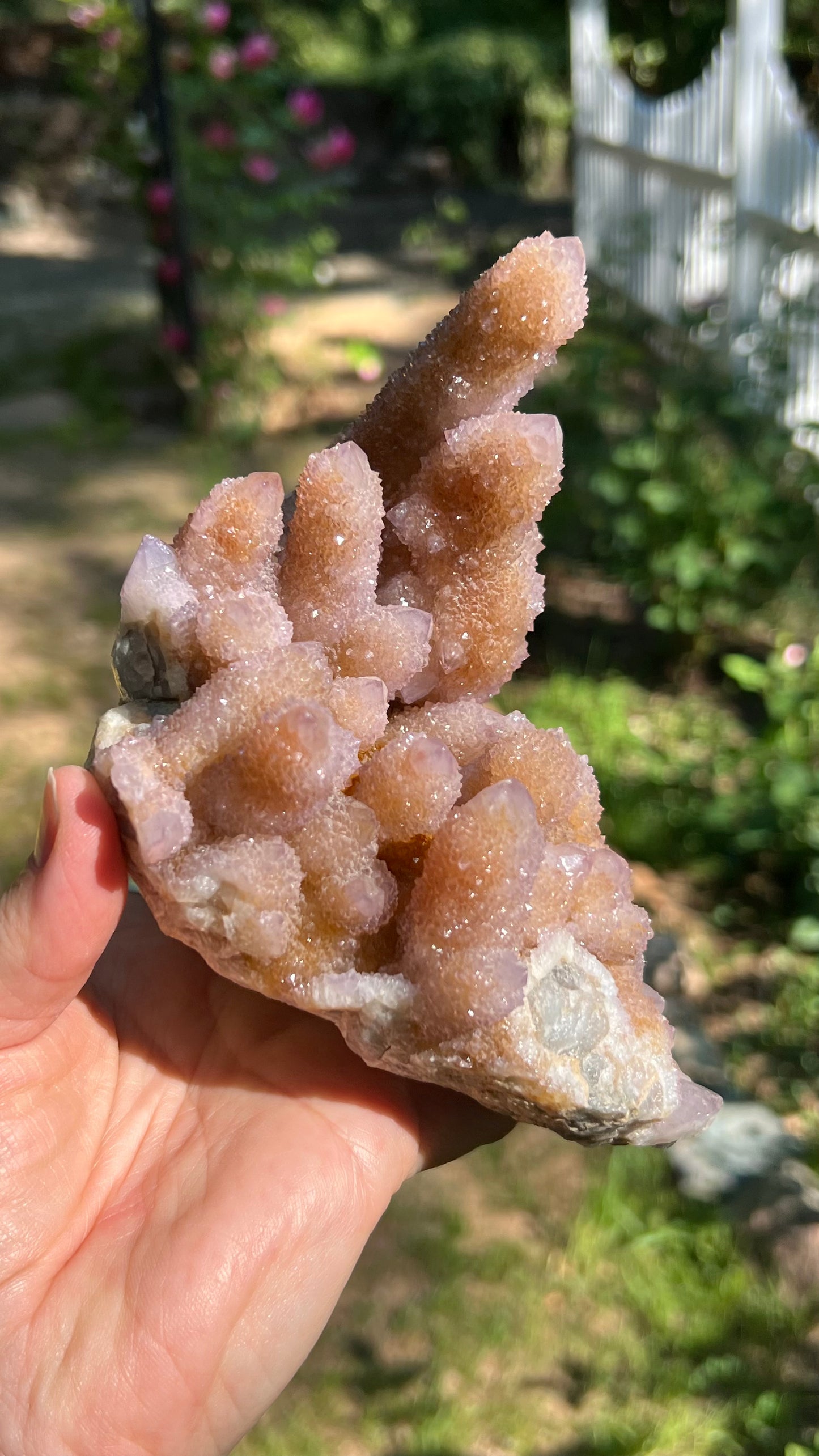 Lavender Spirit Quartz Cactus Quartz, South Africa