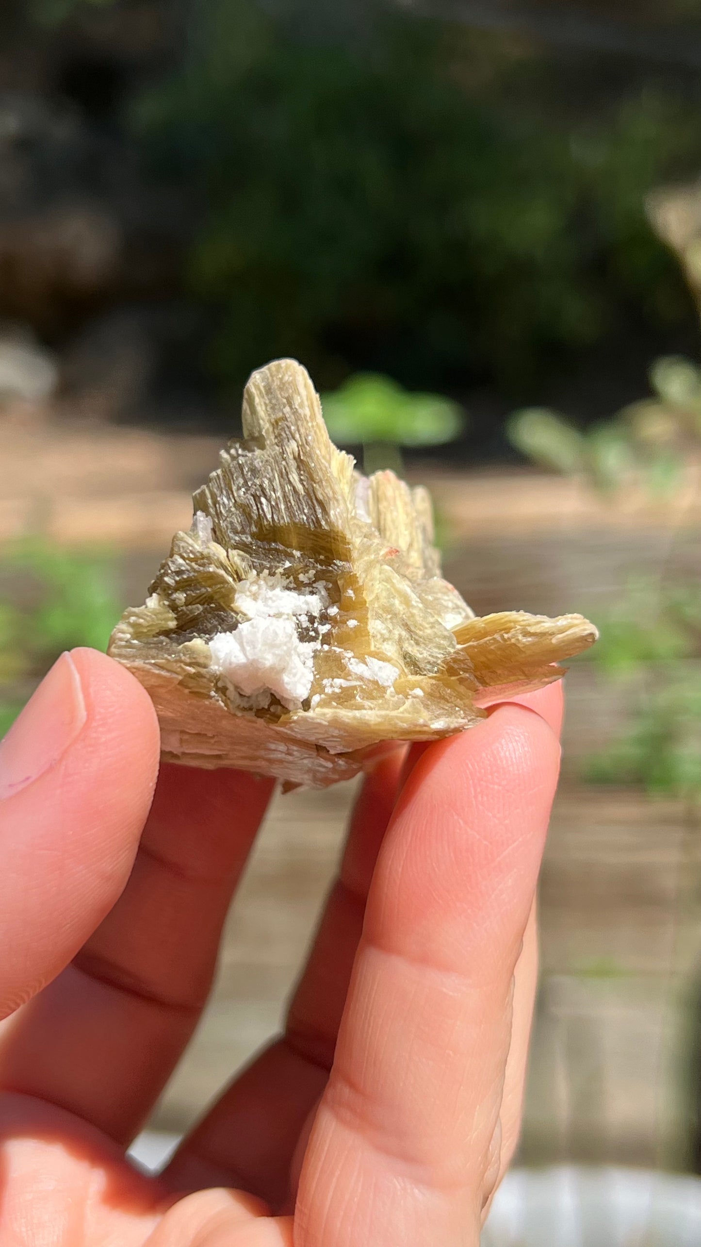 Crystallized Rose Quartz over Star Mica