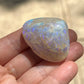 Opalized Clam Shell, 128cts Coober Pedy Australia, Iridescent Fossils