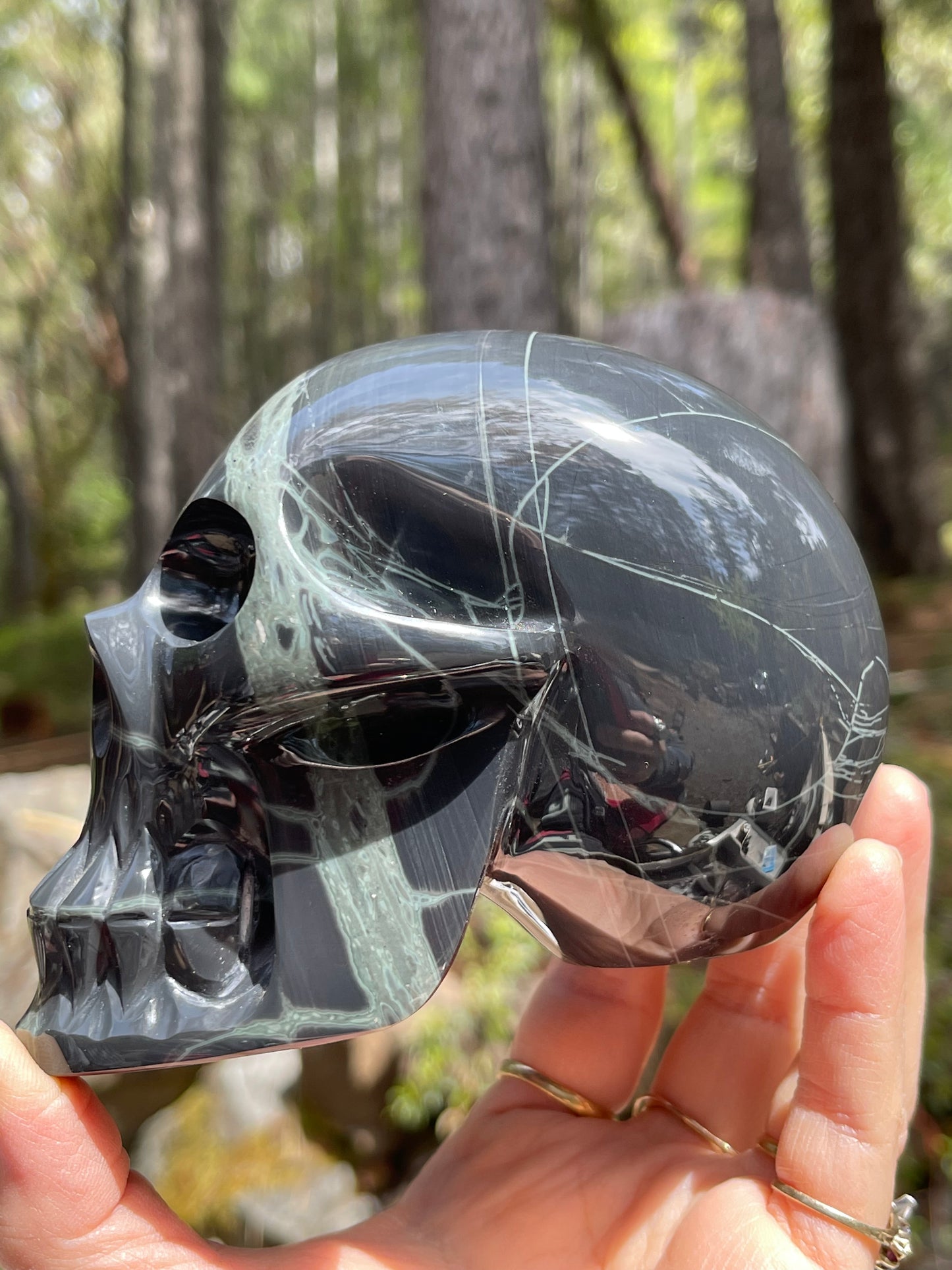 Spider Web Obsidian Skull