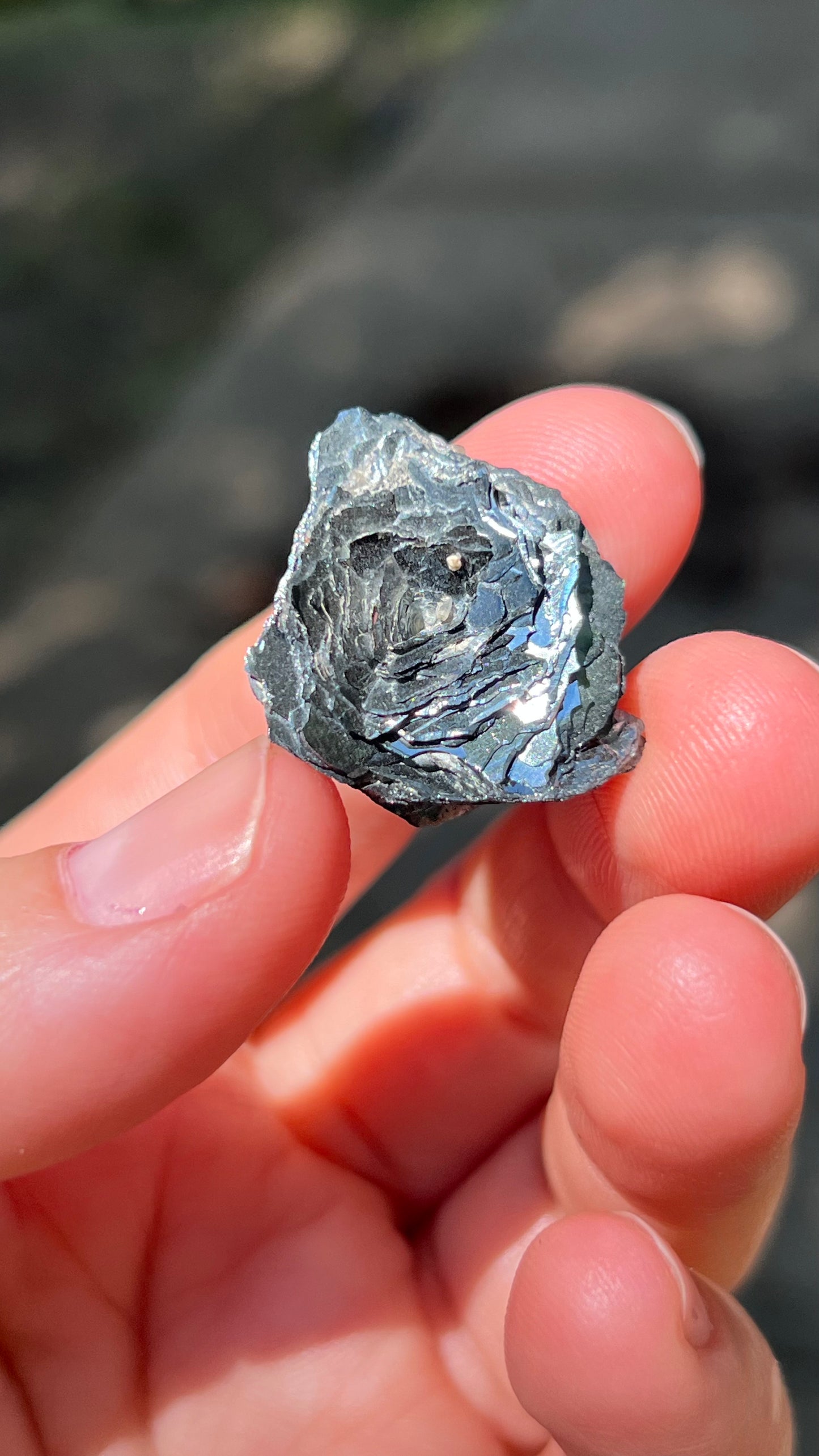 Natural “Iron Rose” Hematite Crystal, Brazil