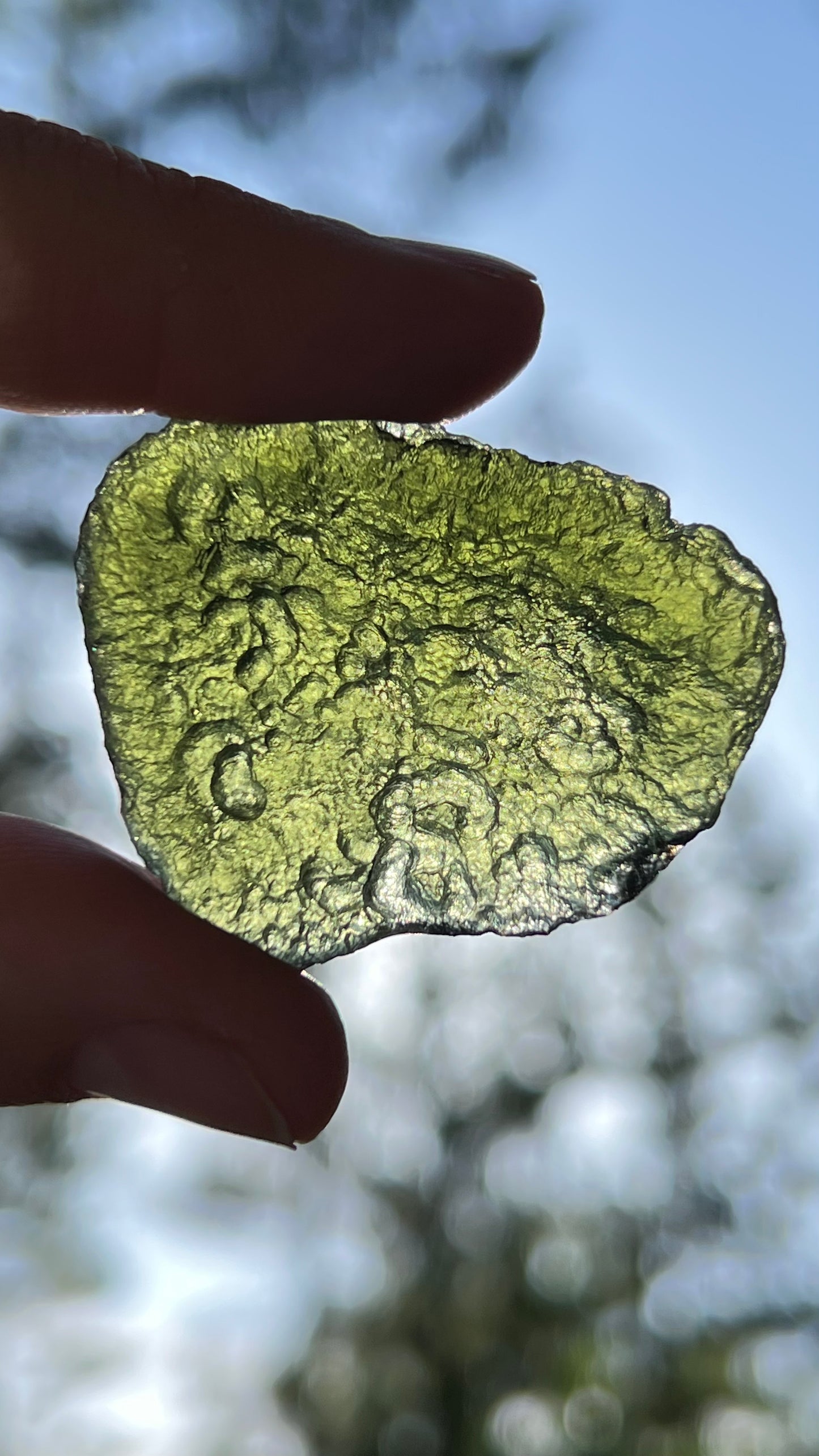 Museum Grade Moldavite, 16.6g Czech Republic