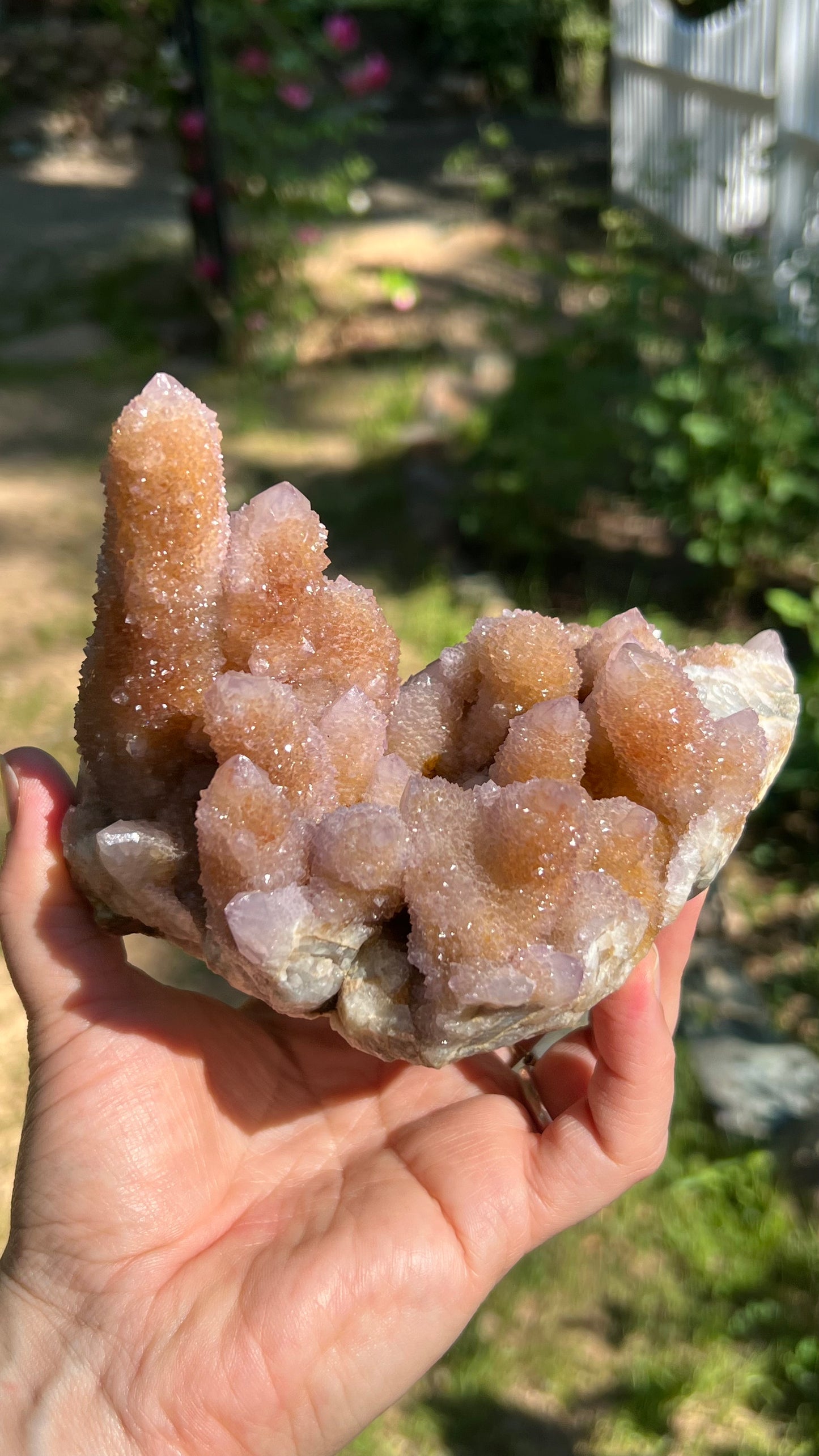 Lavender Spirit Quartz Cactus Quartz, South Africa