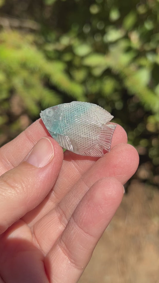 Bicolor Tourmaline Carved Fish, Old Collection