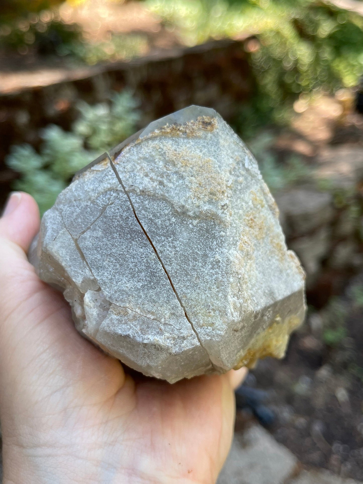 Lodolite Phantom Quartz Crystal, Lodolite, Garden Quartz Ascension, Masters, Healers, Metaphysical Q2-0708