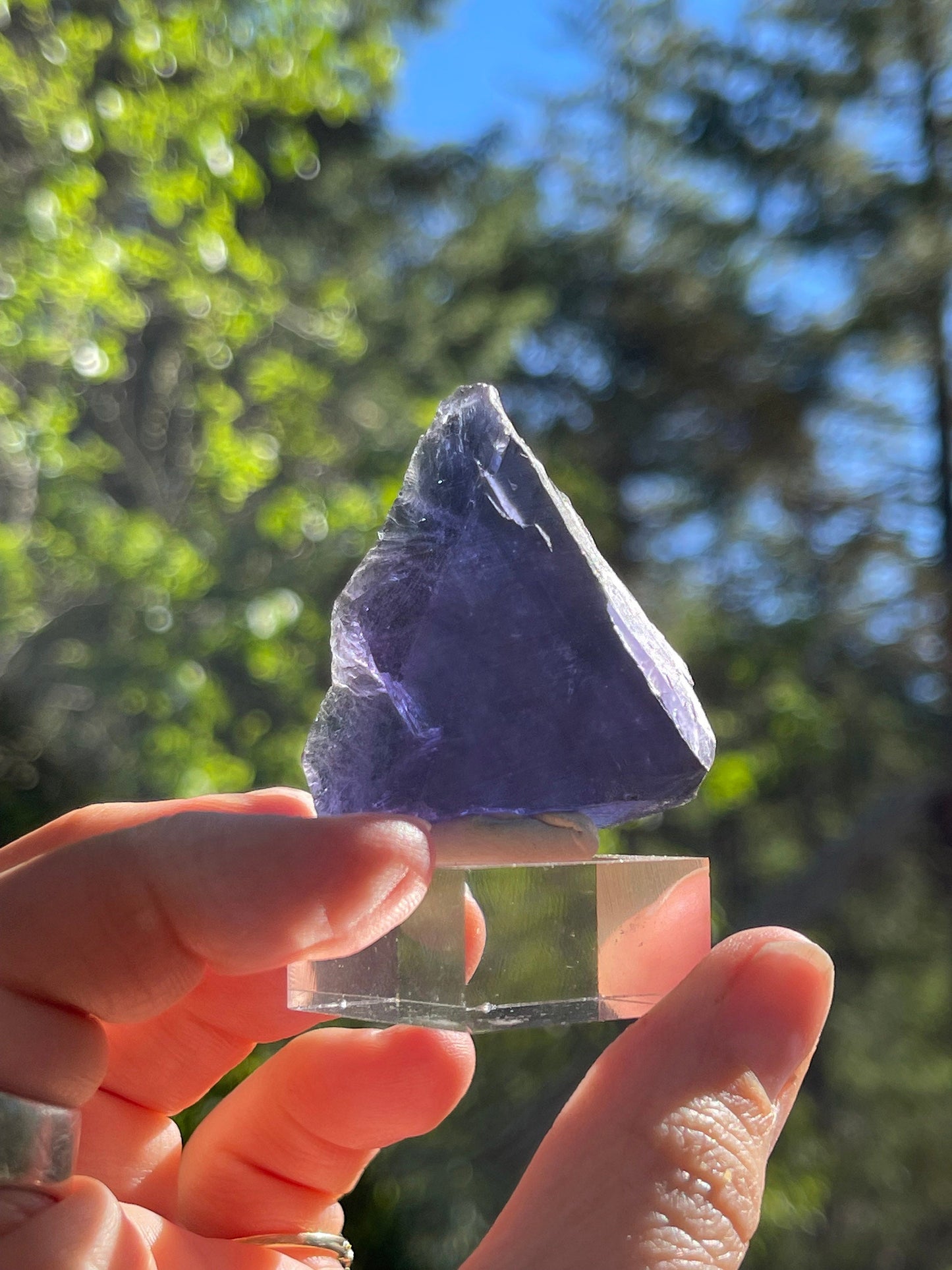 Natural Blue Fluorite Crystal with Purple Zoning, Natural Edge Slab, Rare Fluorite,Stimulation, Growth, Genius, FL1-0620