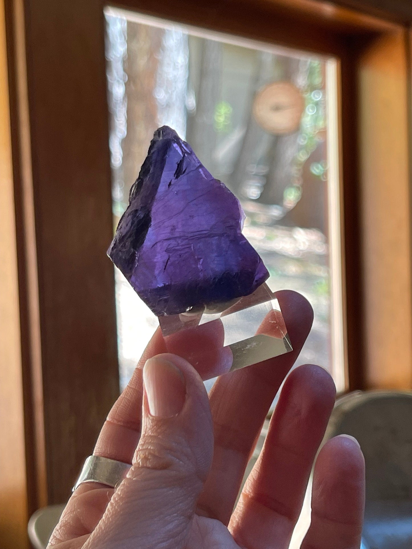 Natural Blue Fluorite Crystal with Purple Zoning, Natural Edge Slab, Rare Fluorite,Stimulation, Growth, Genius, FL1-0620