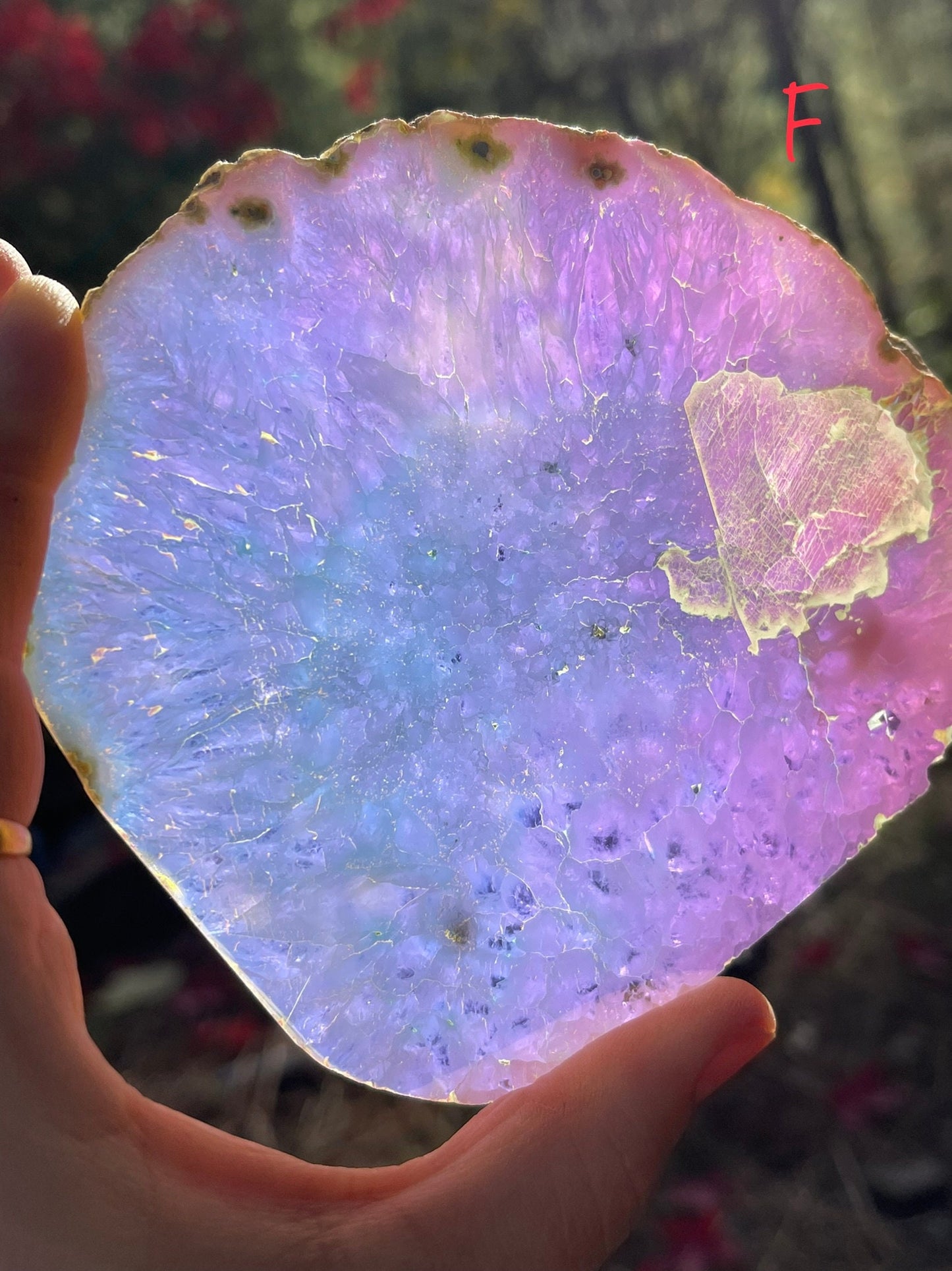 You Pick! (1) Angel Aura Agate Quartz Slice