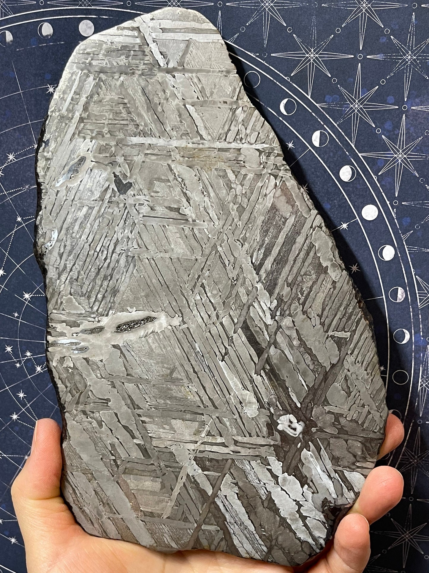 Seymchan Meteorite Slice, Museum Collectors Specimen, 754g - SEYM1-1020