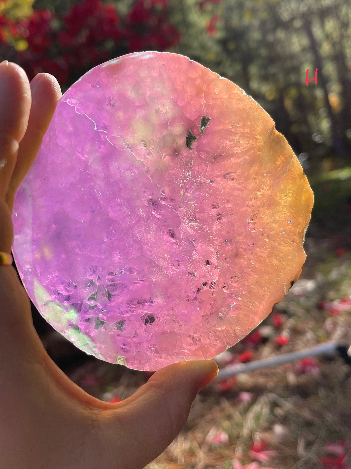 You Pick! (1) Angel Aura Agate Quartz Slice