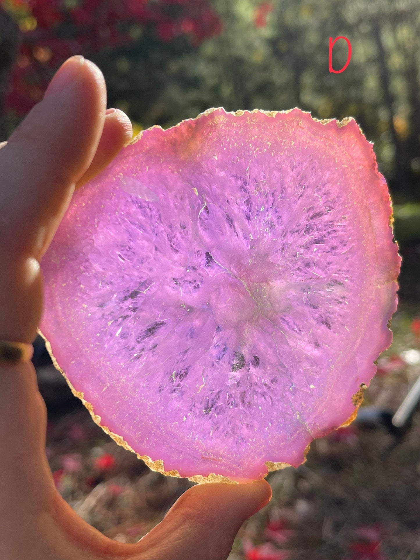 You Pick! (1) Angel Aura Agate Quartz Slice