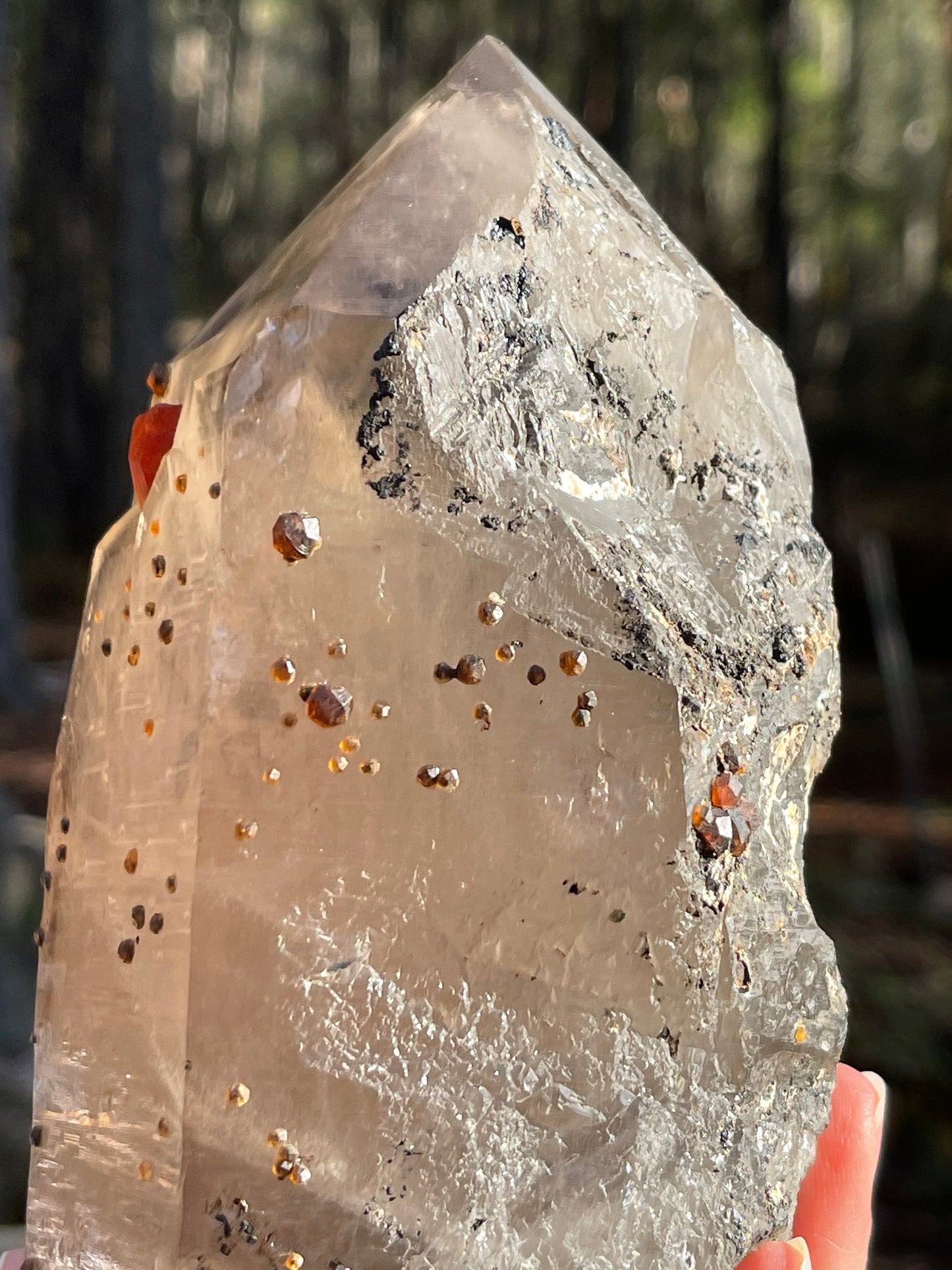 Spessartine Garnets on Smoky Quartz