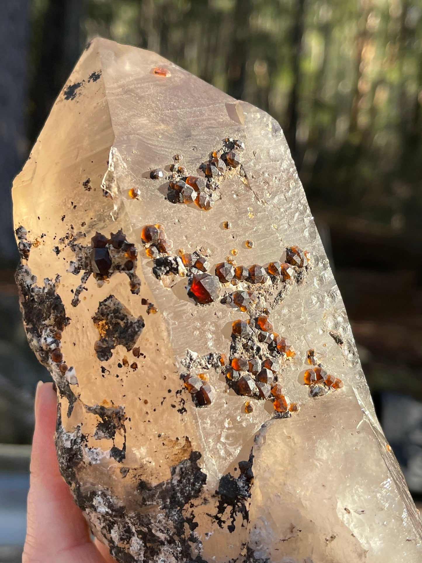 Spessartine Garnets on Smoky Quartz