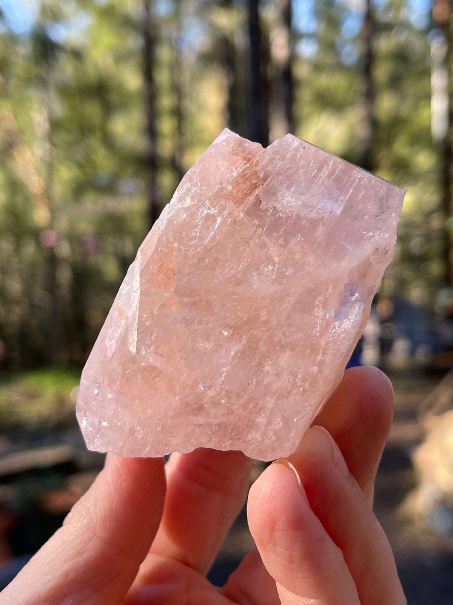 Morganite and Pink Tourmaline Crystal, Stewart Mine, San Diego, CA USA