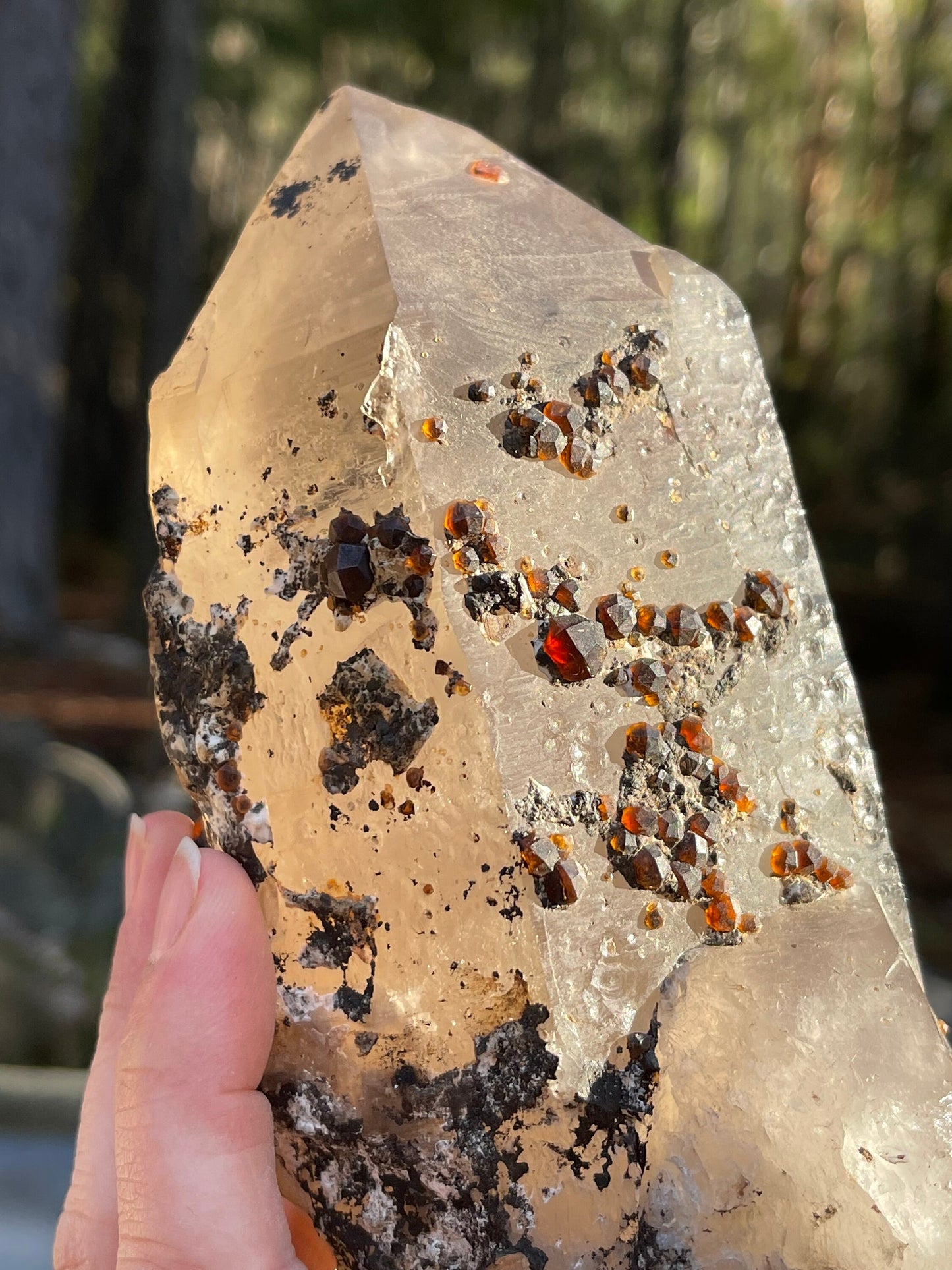 Spessartine Garnets on Smoky Quartz