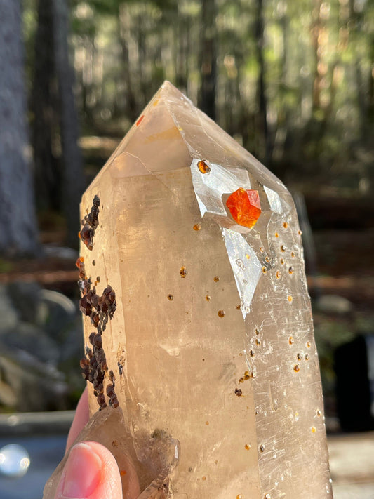 Spessartine Garnets on Smoky Quartz, Ancient Wisdom, Magic Crystals, Metaphysical Rocks, Spiritual Love Q8-0117